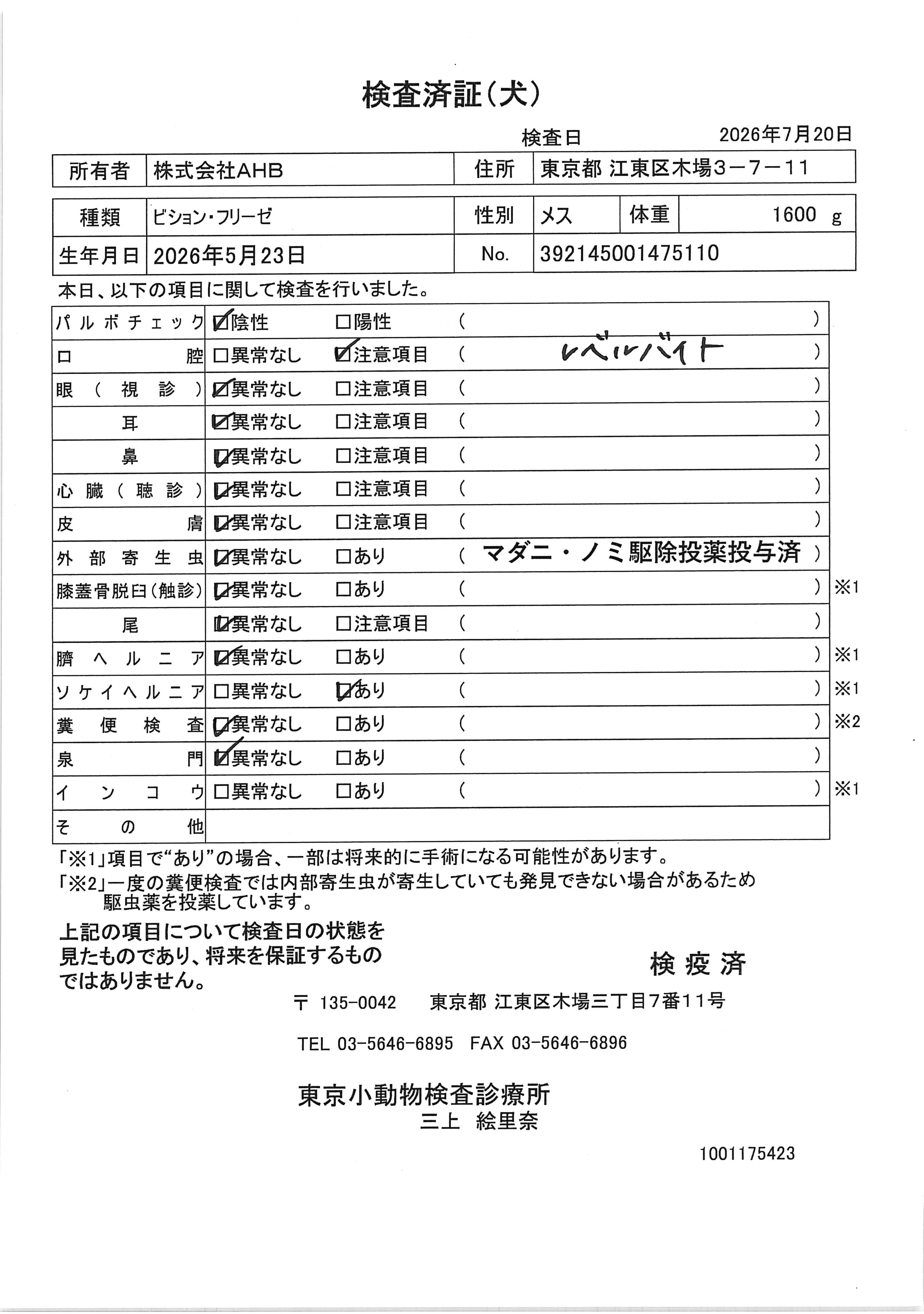 ビション・フリーゼ