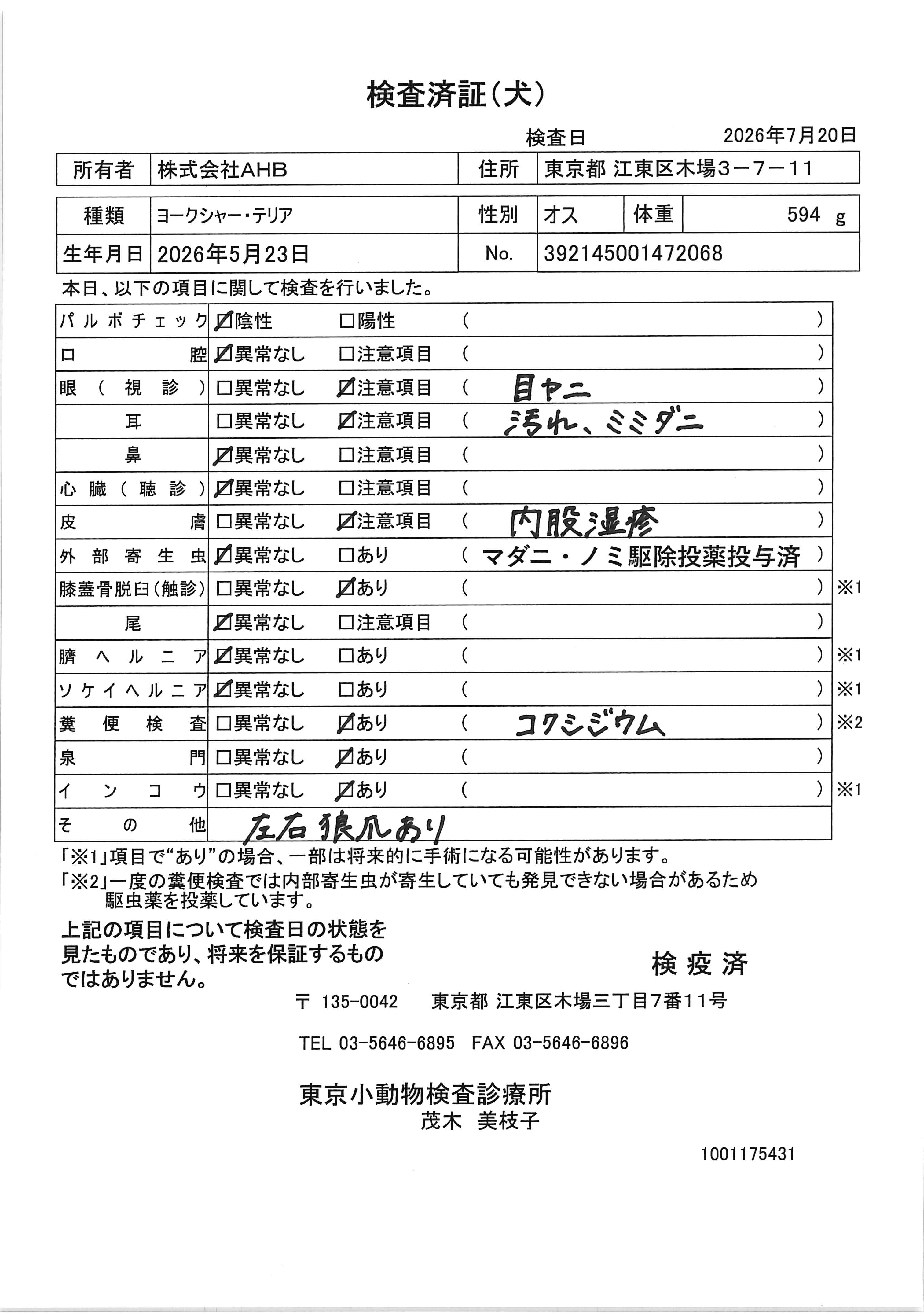 ヨークシャー・テリア