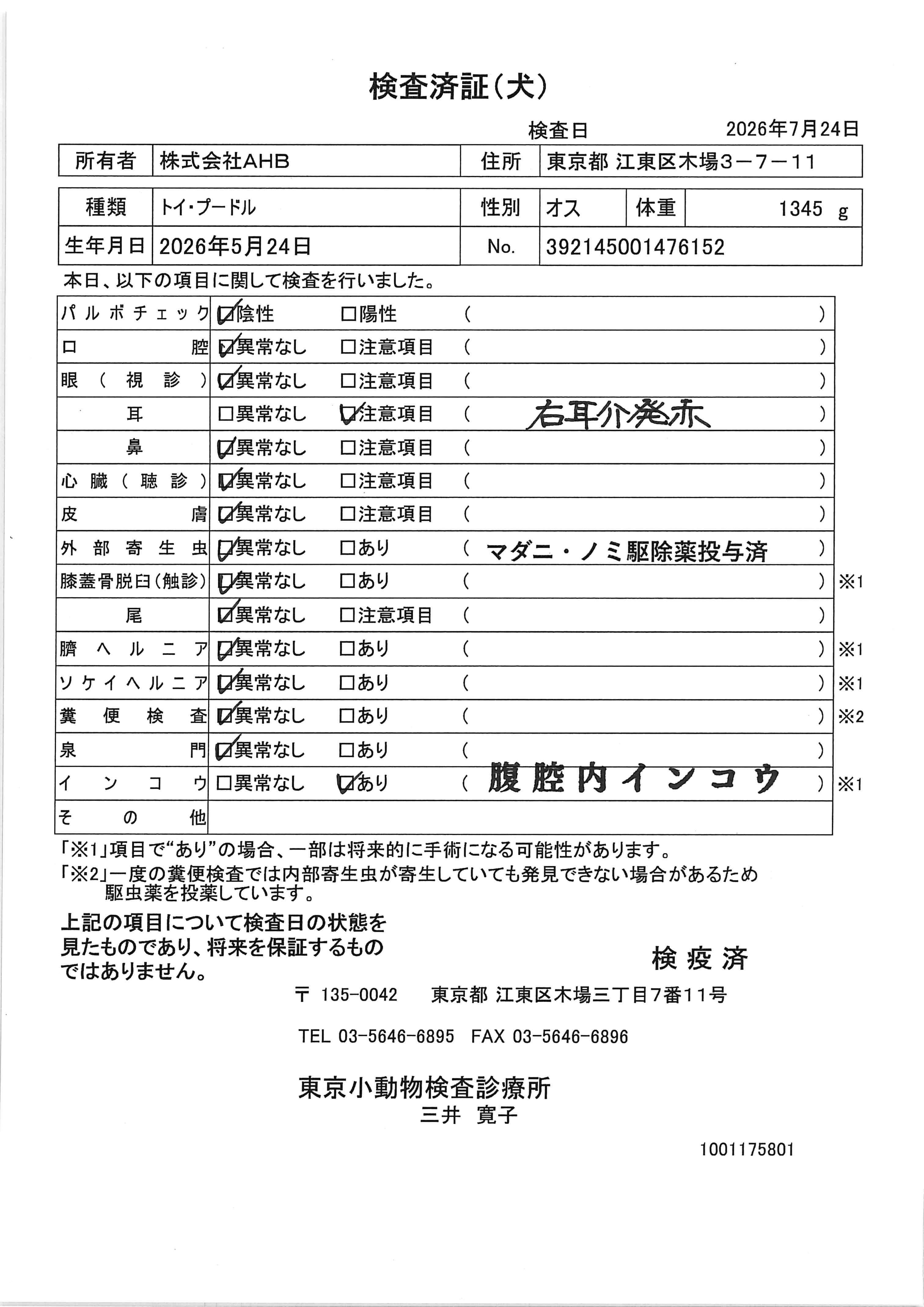 トイ・プードル
