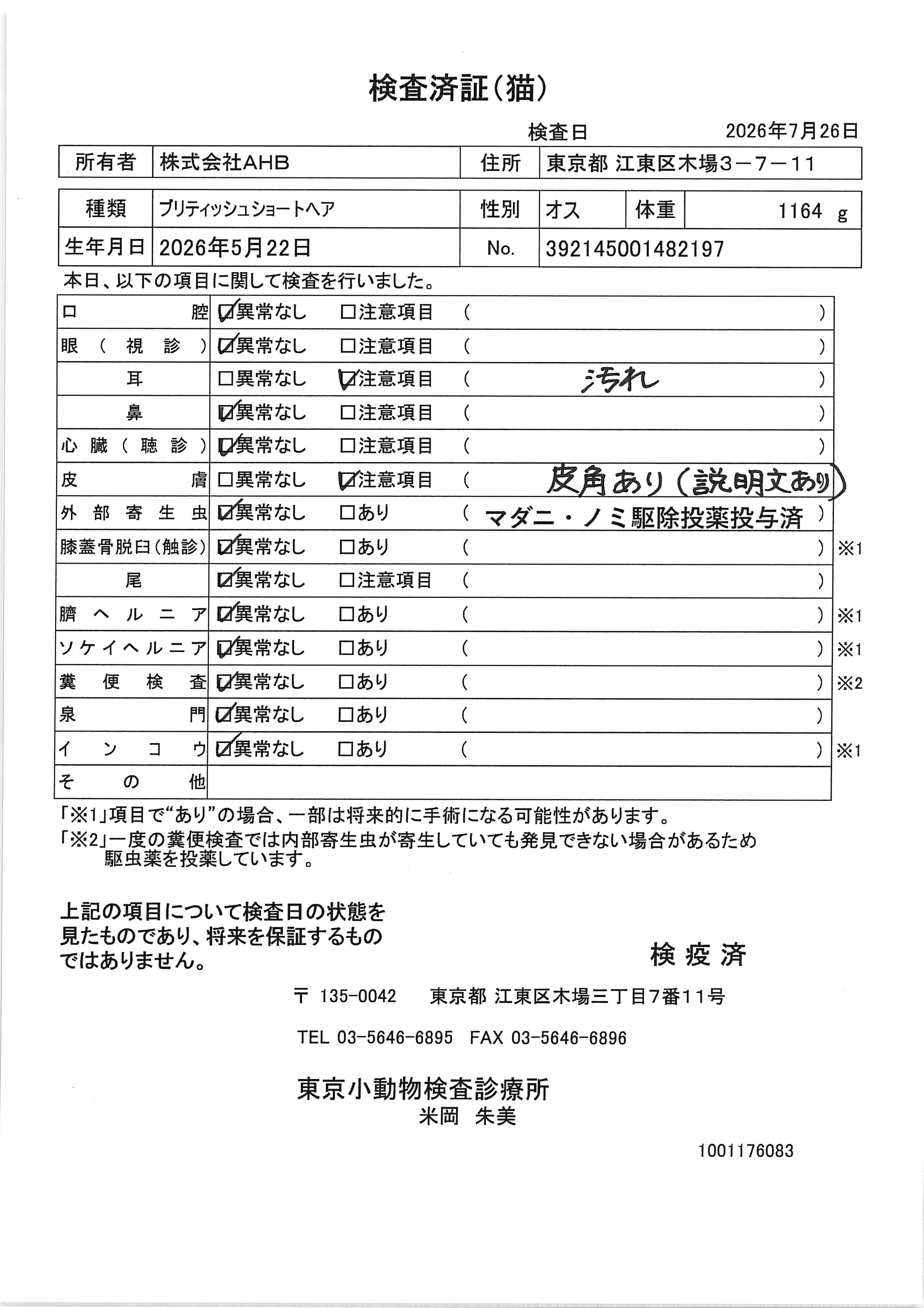 ブリティッシュショートヘア