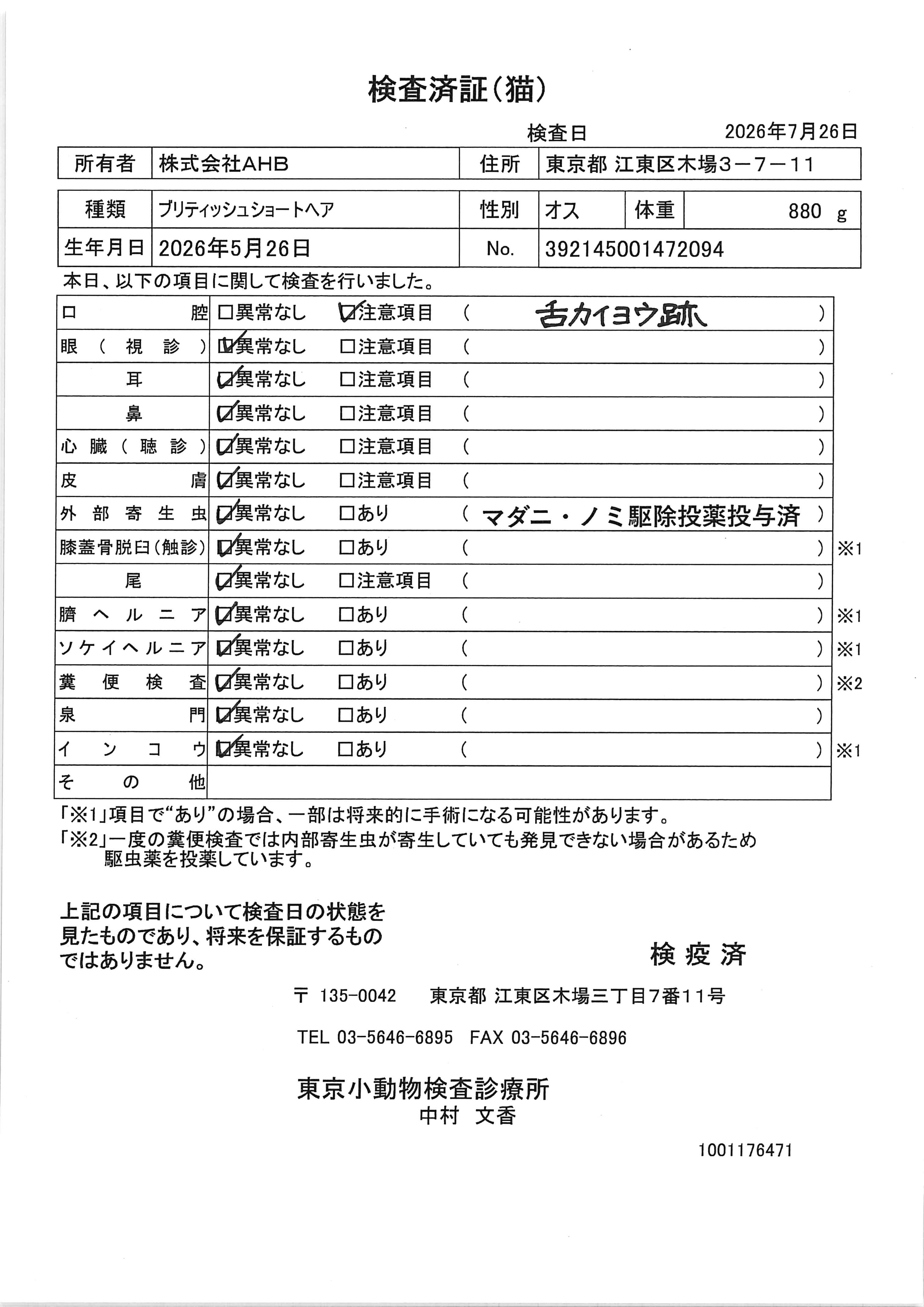 ブリティッシュショートヘア