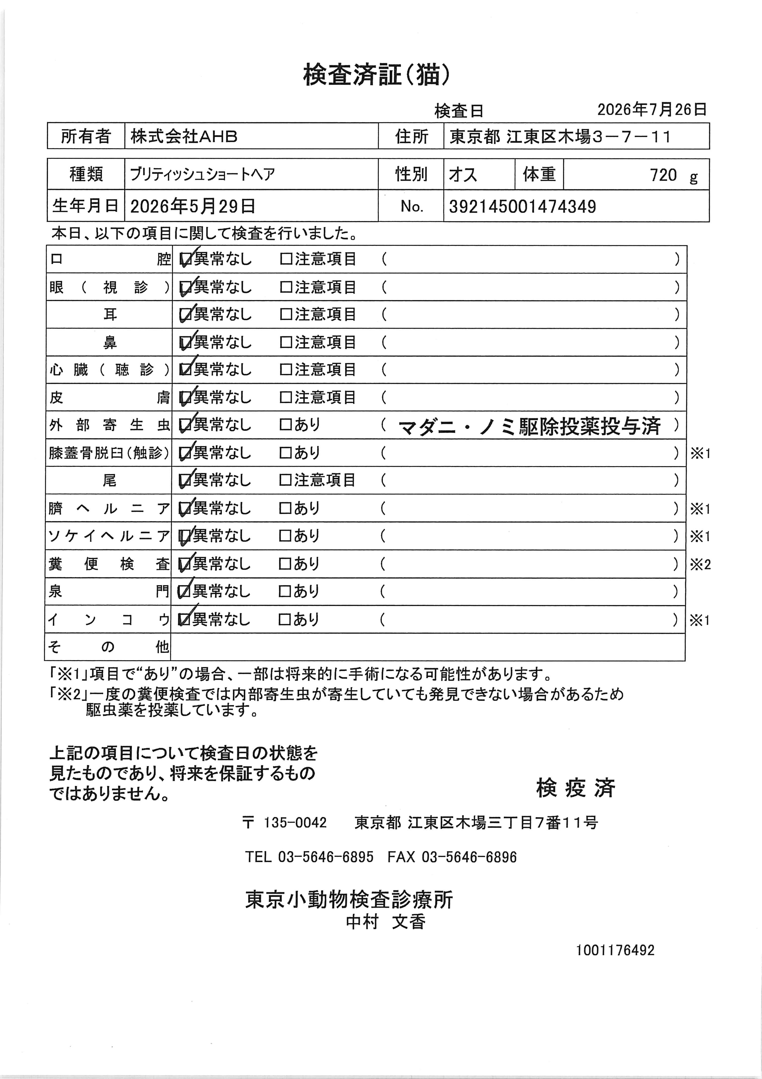 ブリティッシュショートヘア