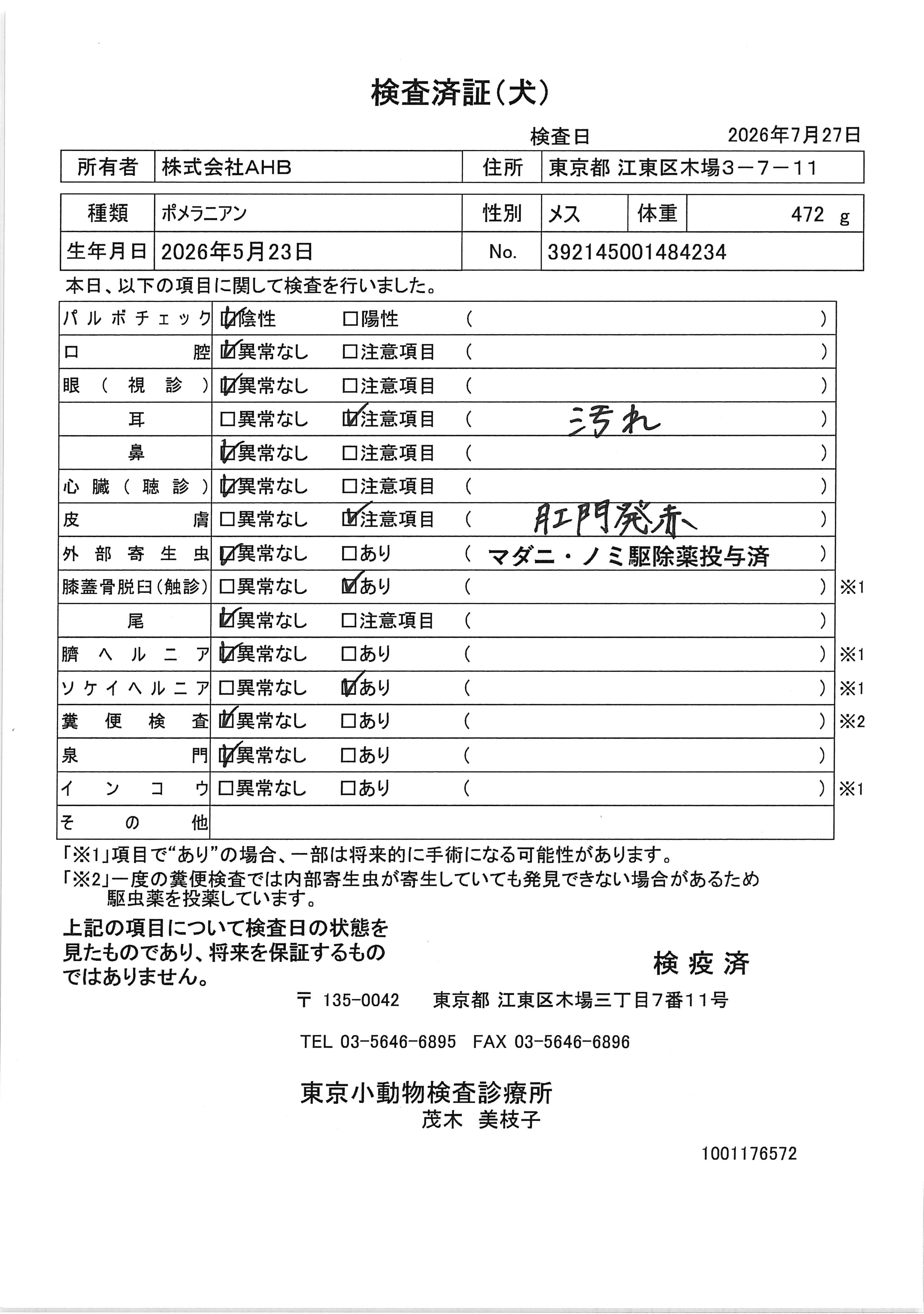 ポメラニアン