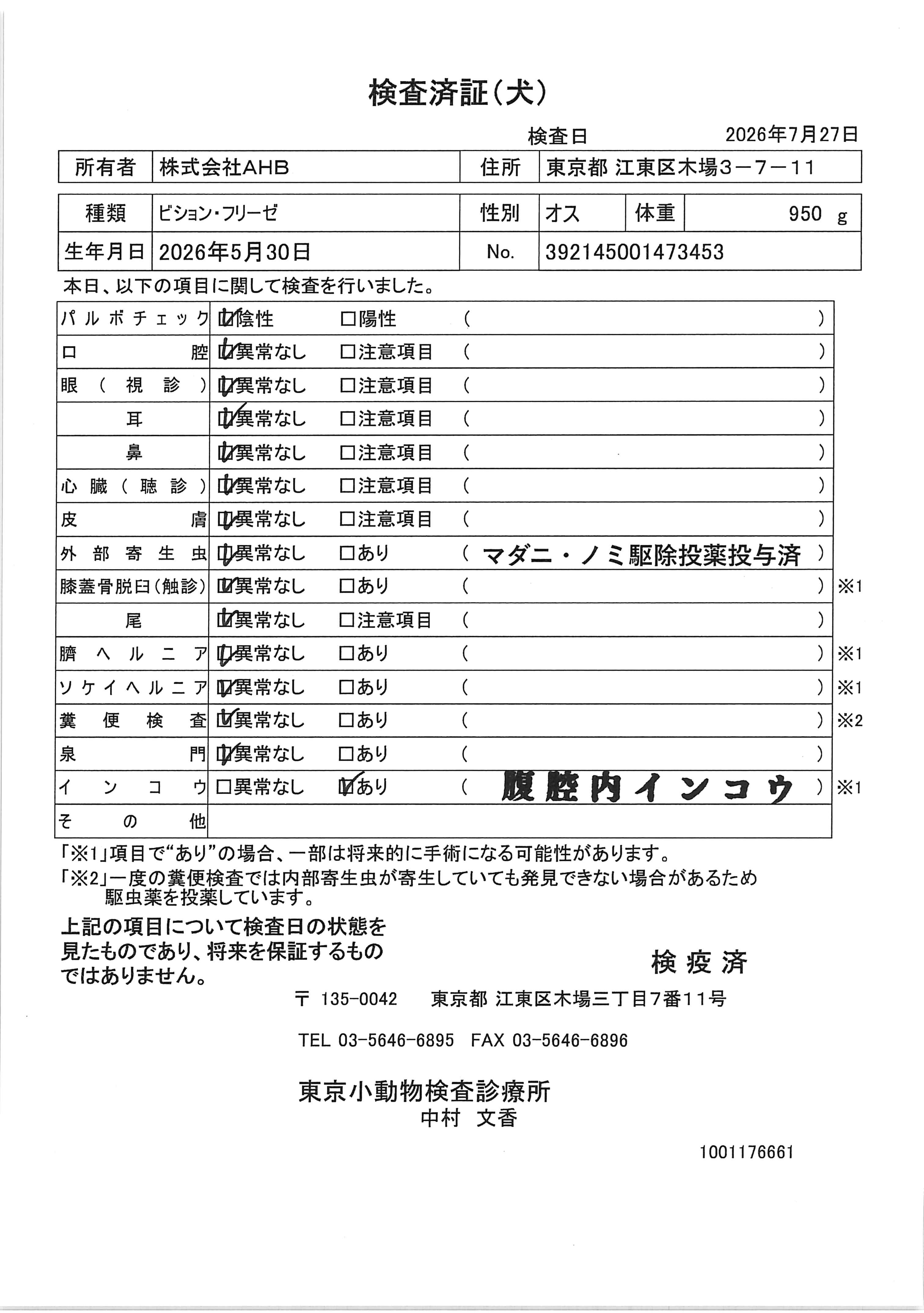 ビション・フリーゼ