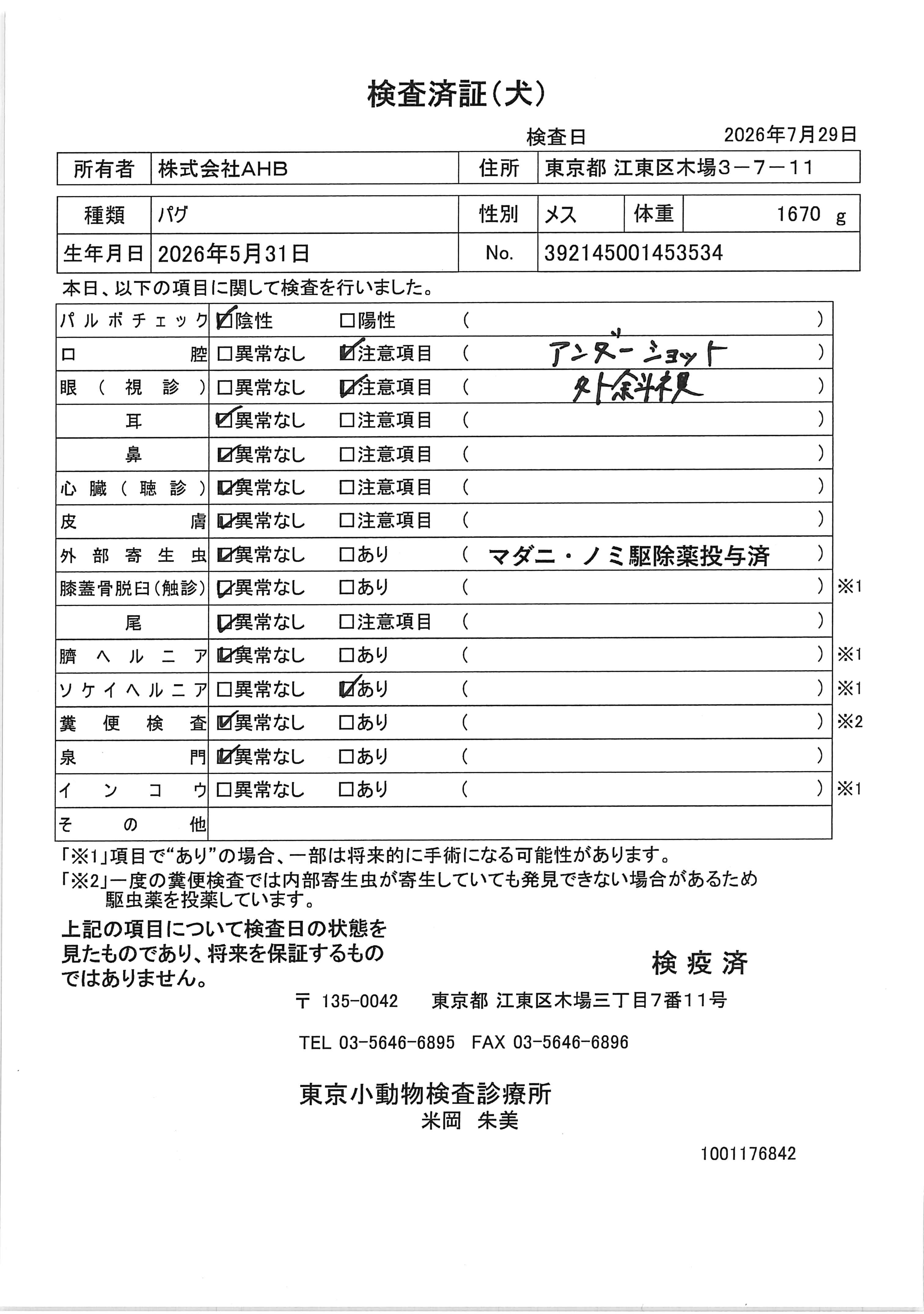 パグ