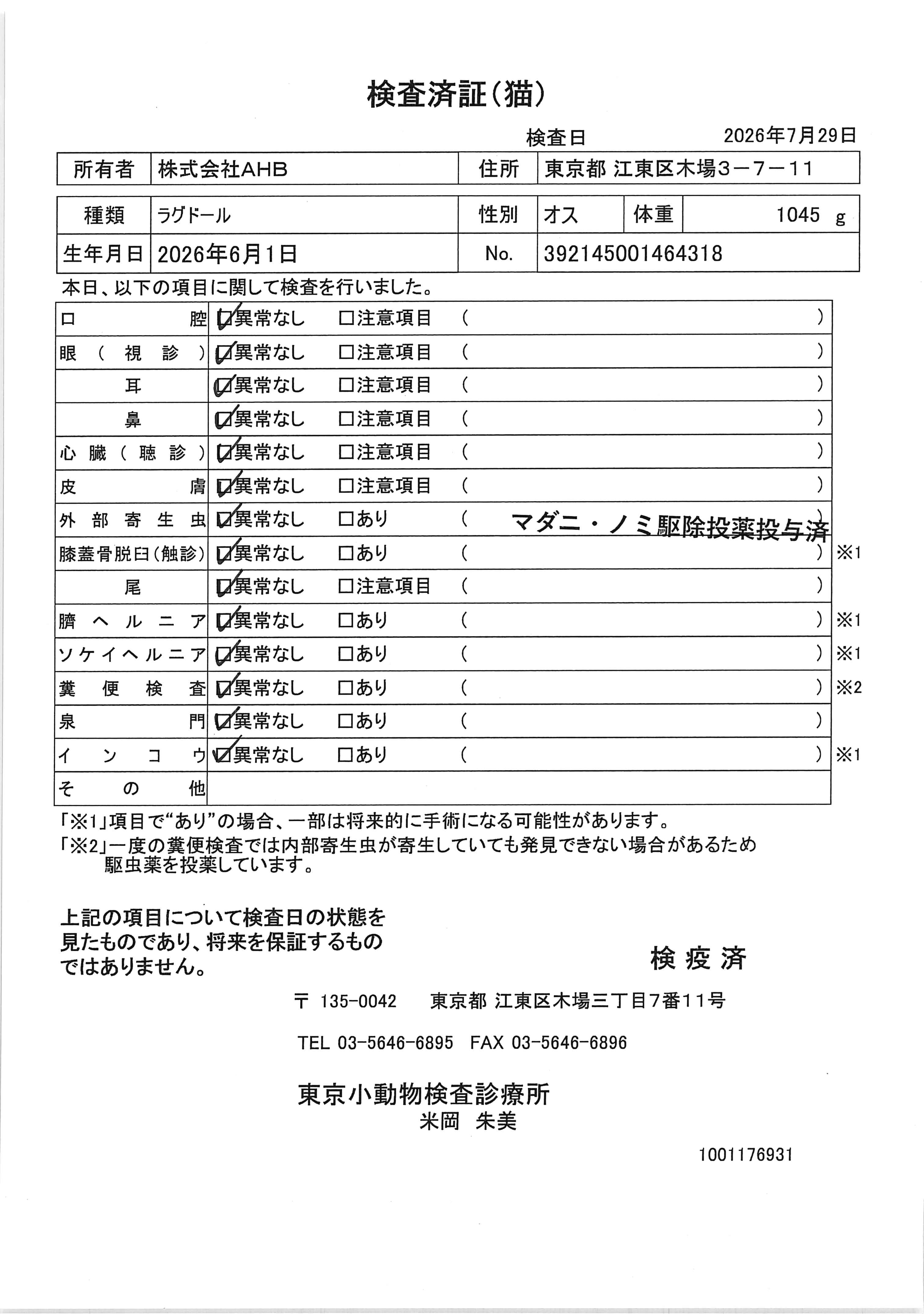 ラグドール