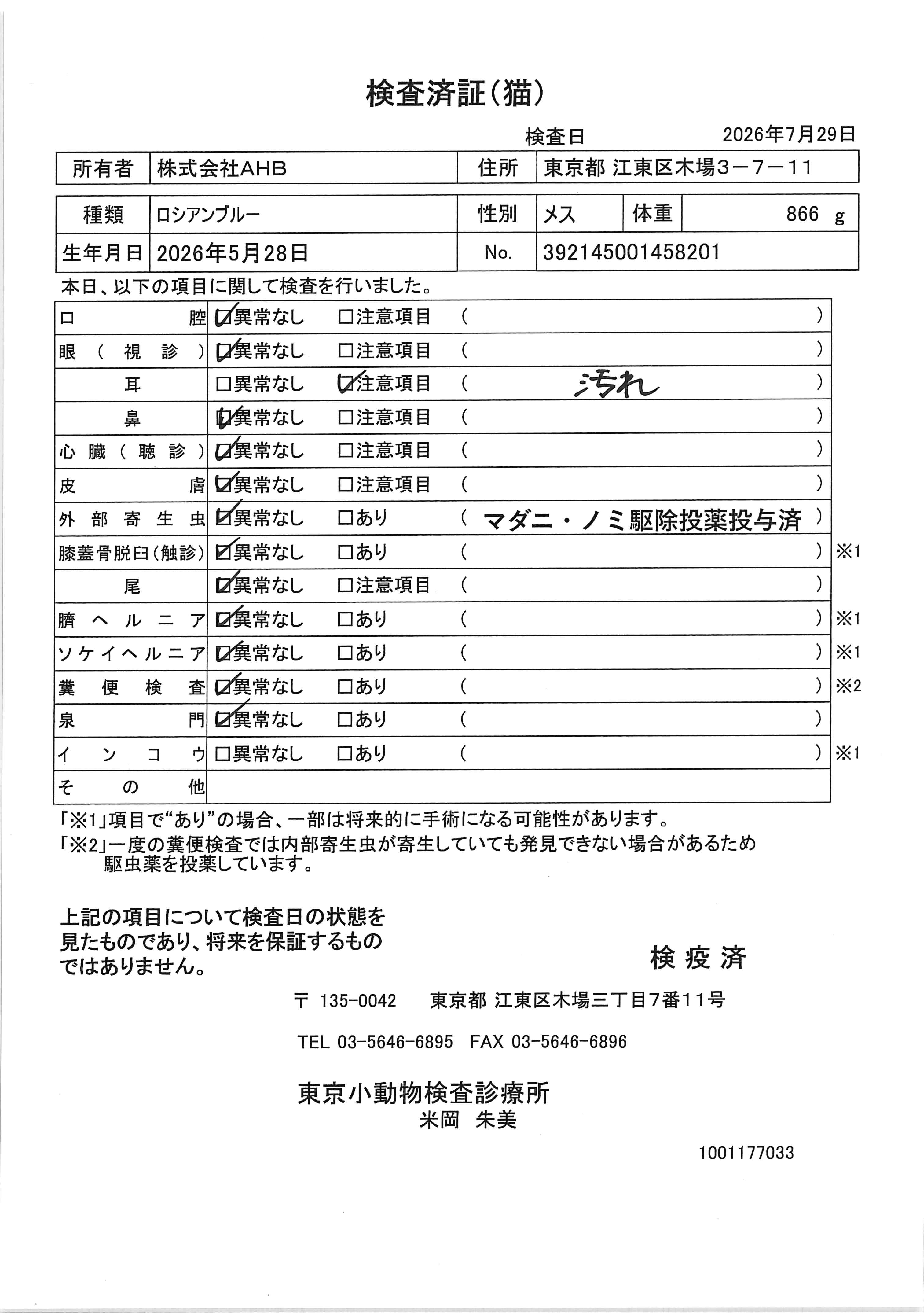 ロシアンブルー