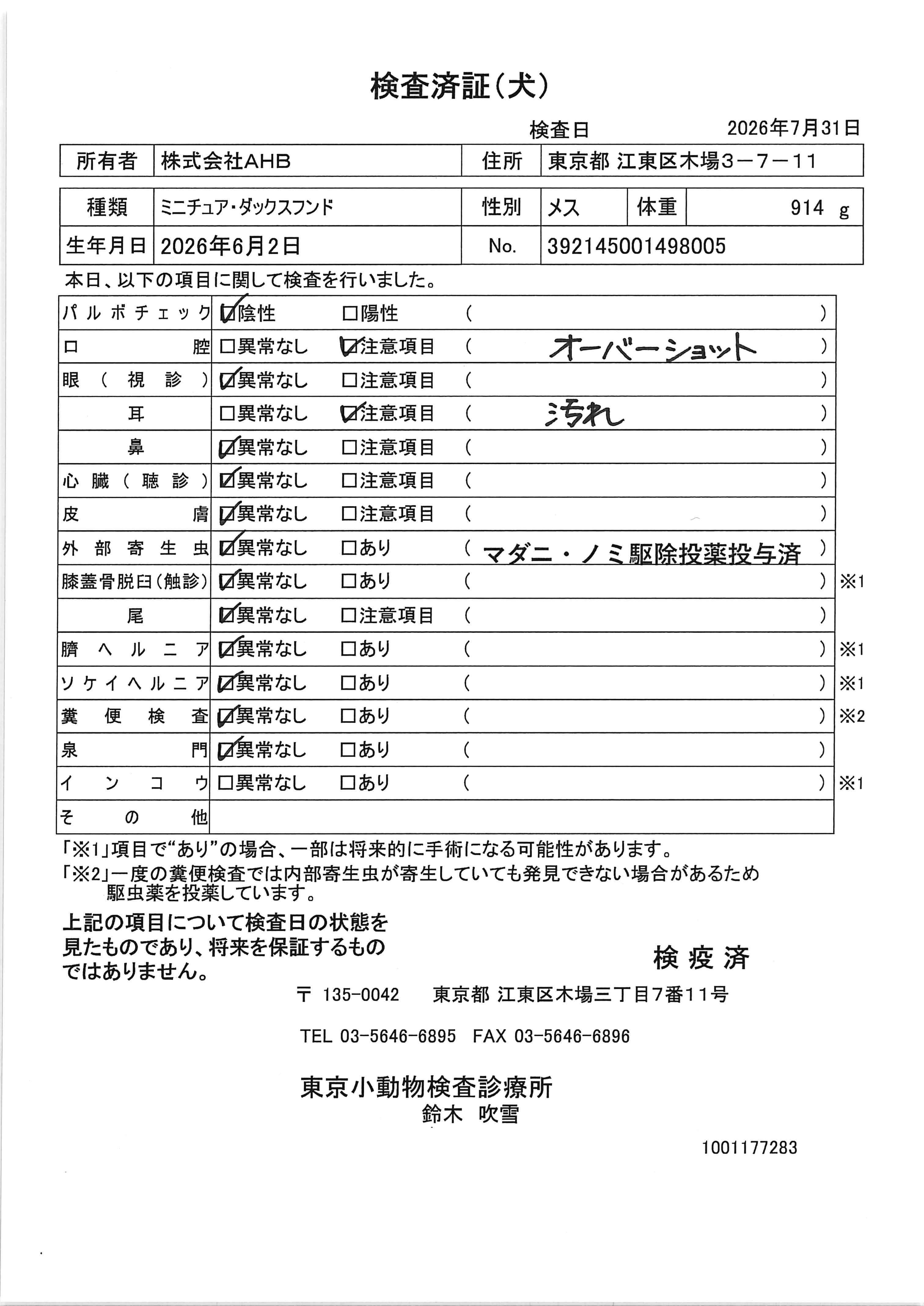 ミニチュア・ダックスフンド