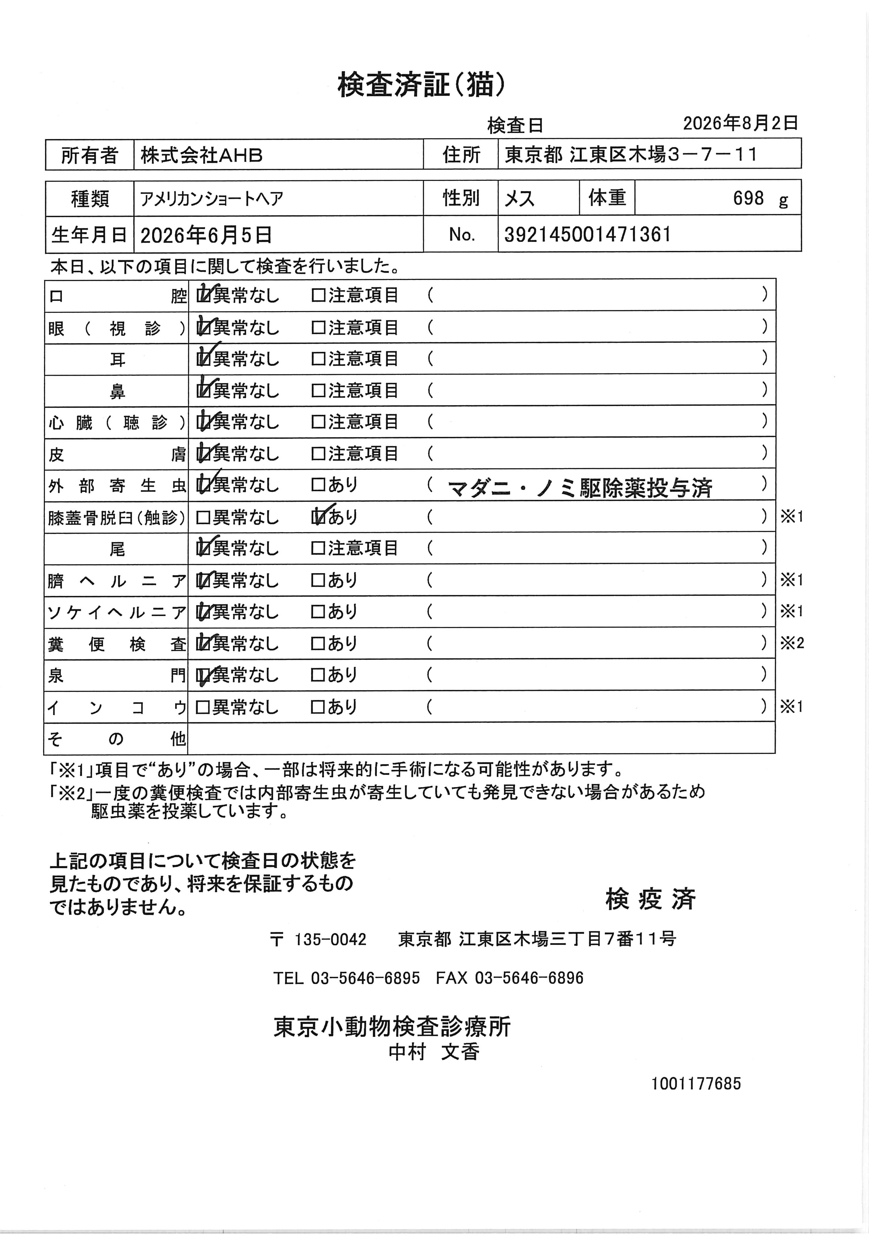 アメリカンショートヘア
