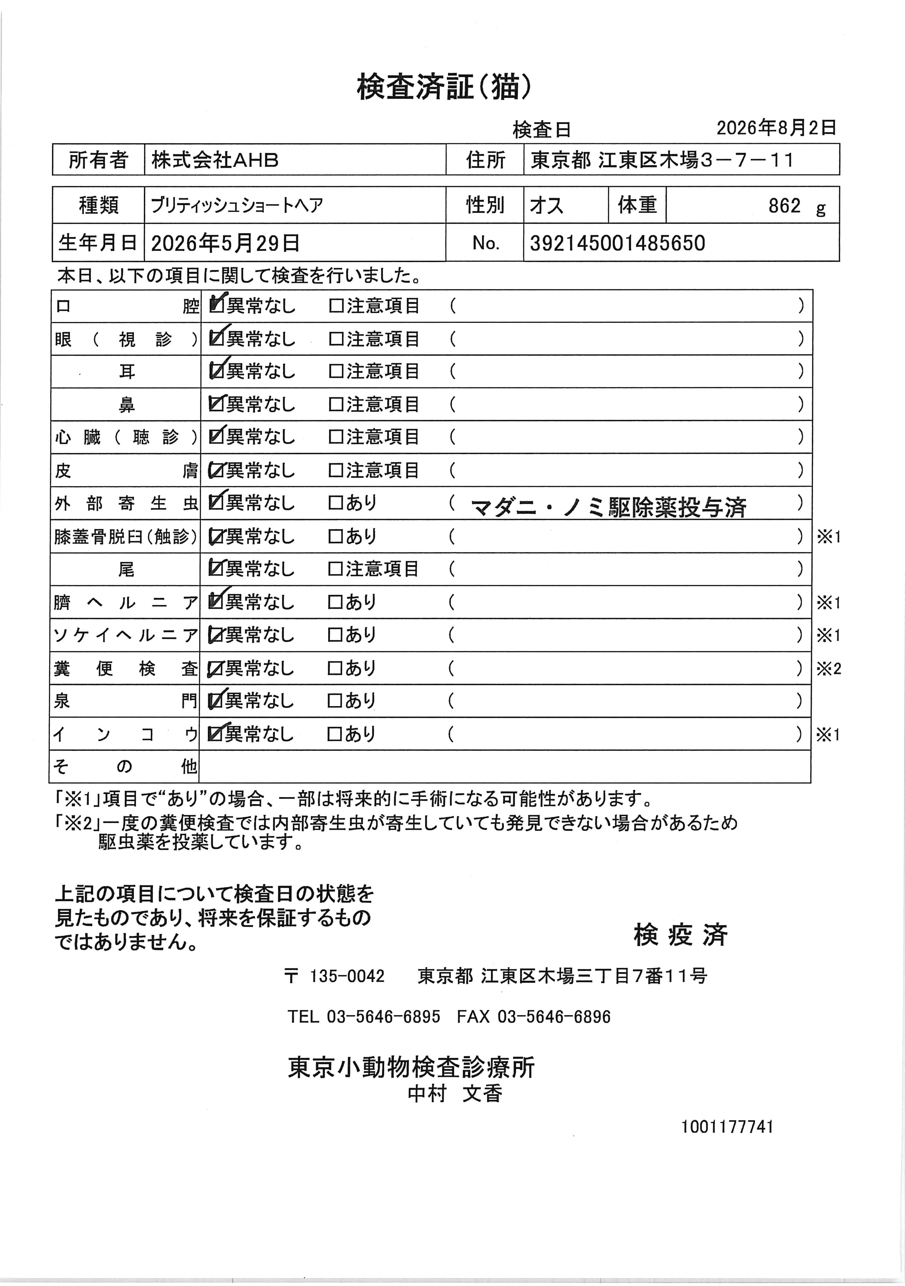 ブリティッシュショートヘア
