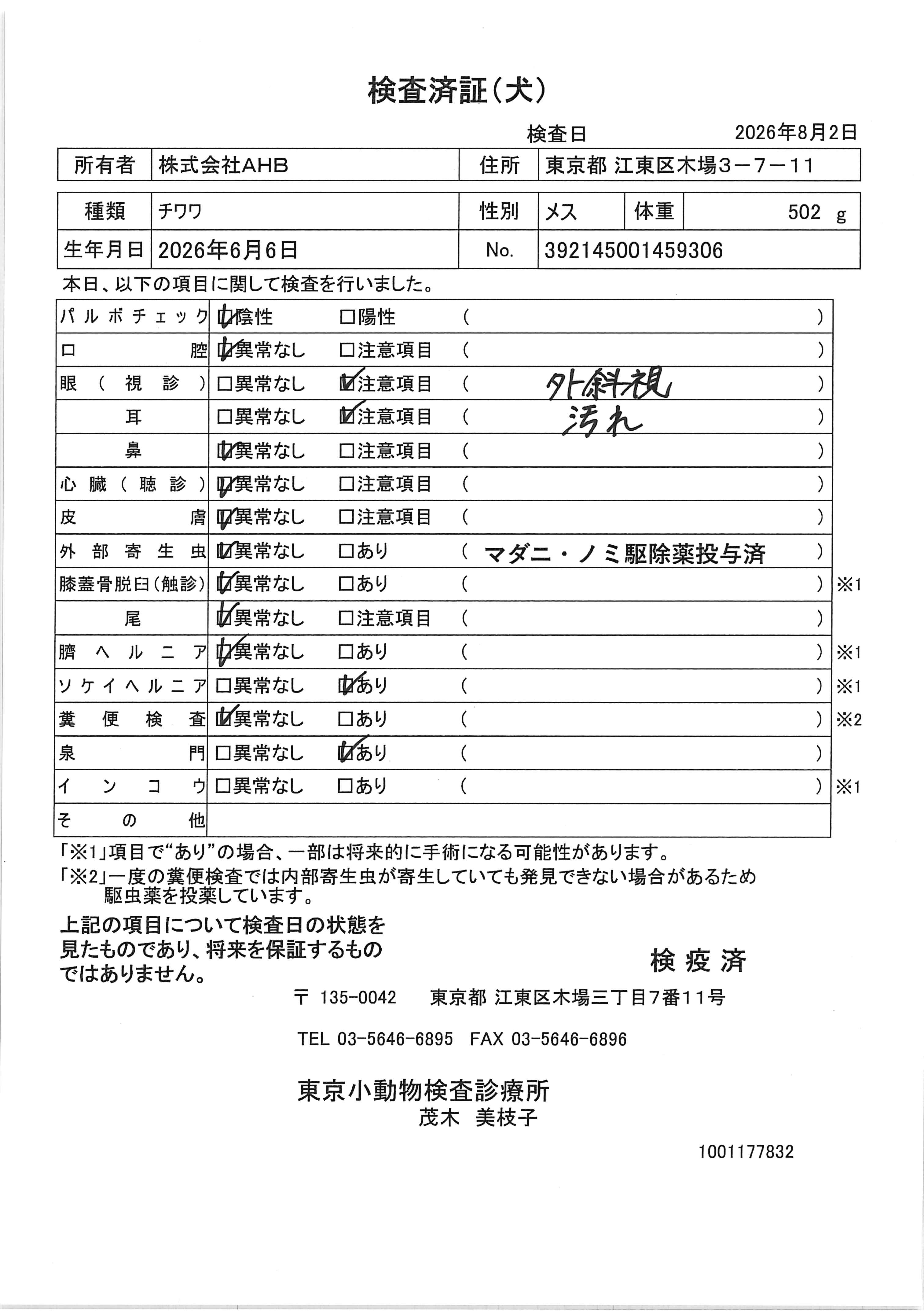 チワワ