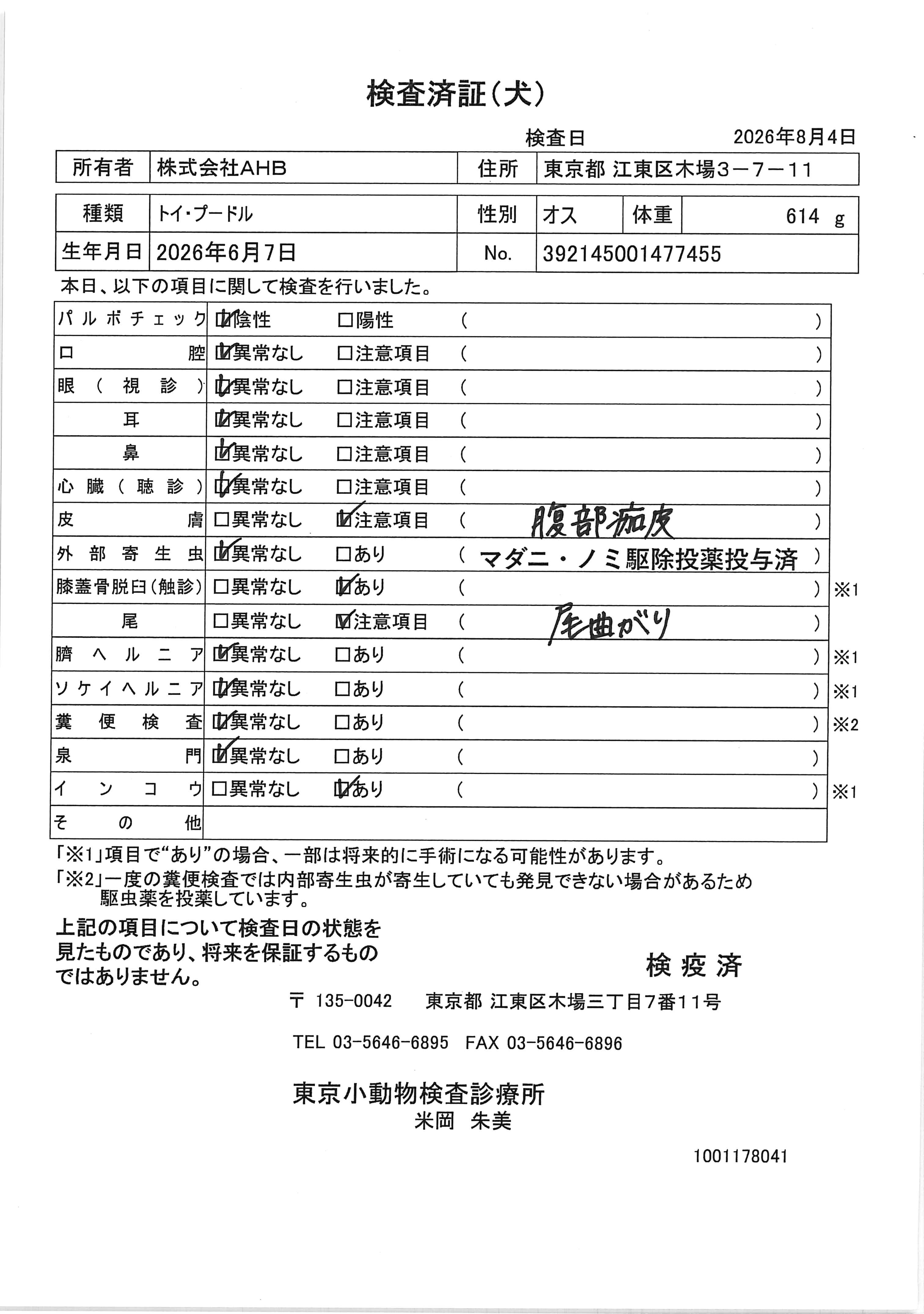 トイ・プードル