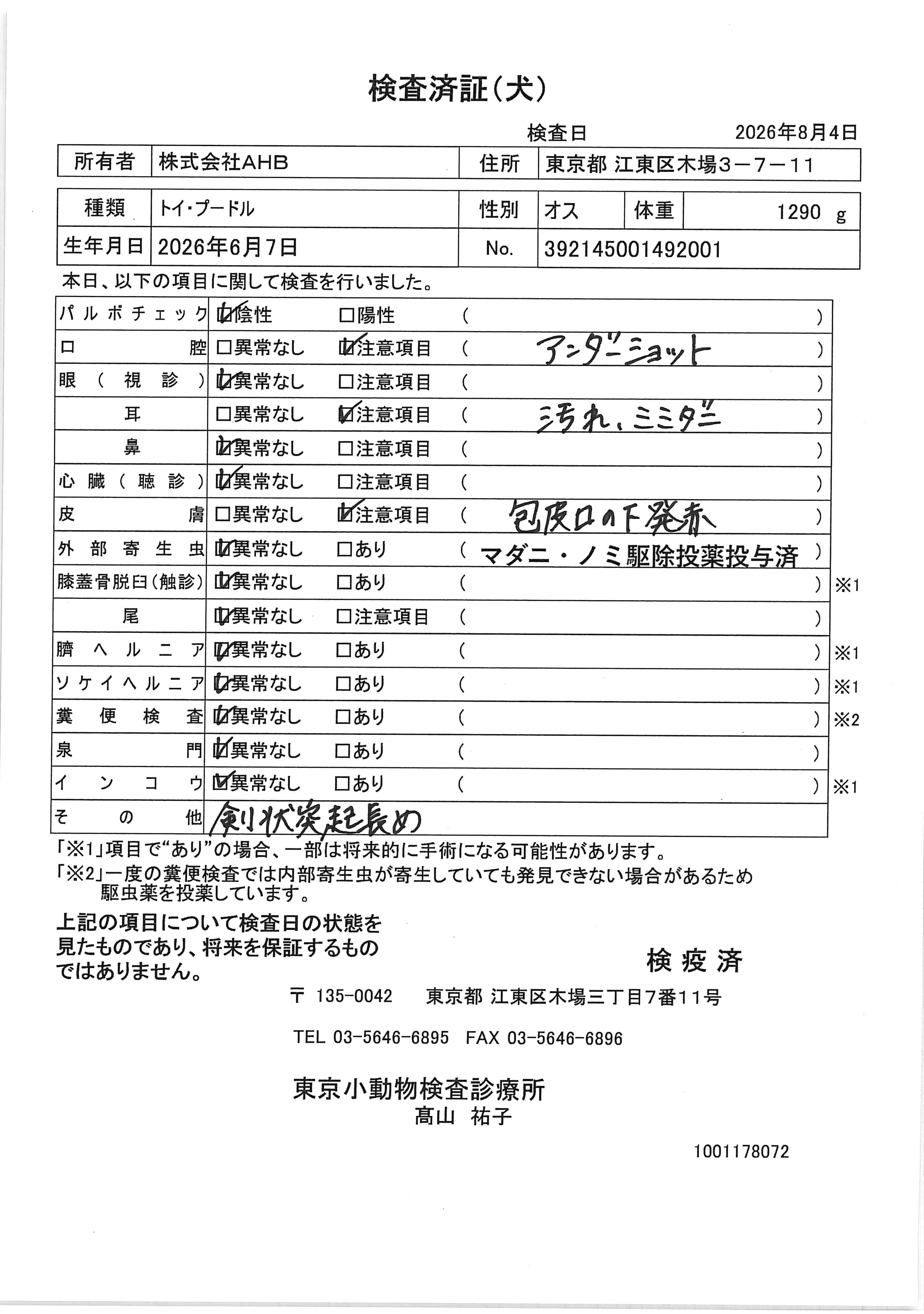トイ・プードル