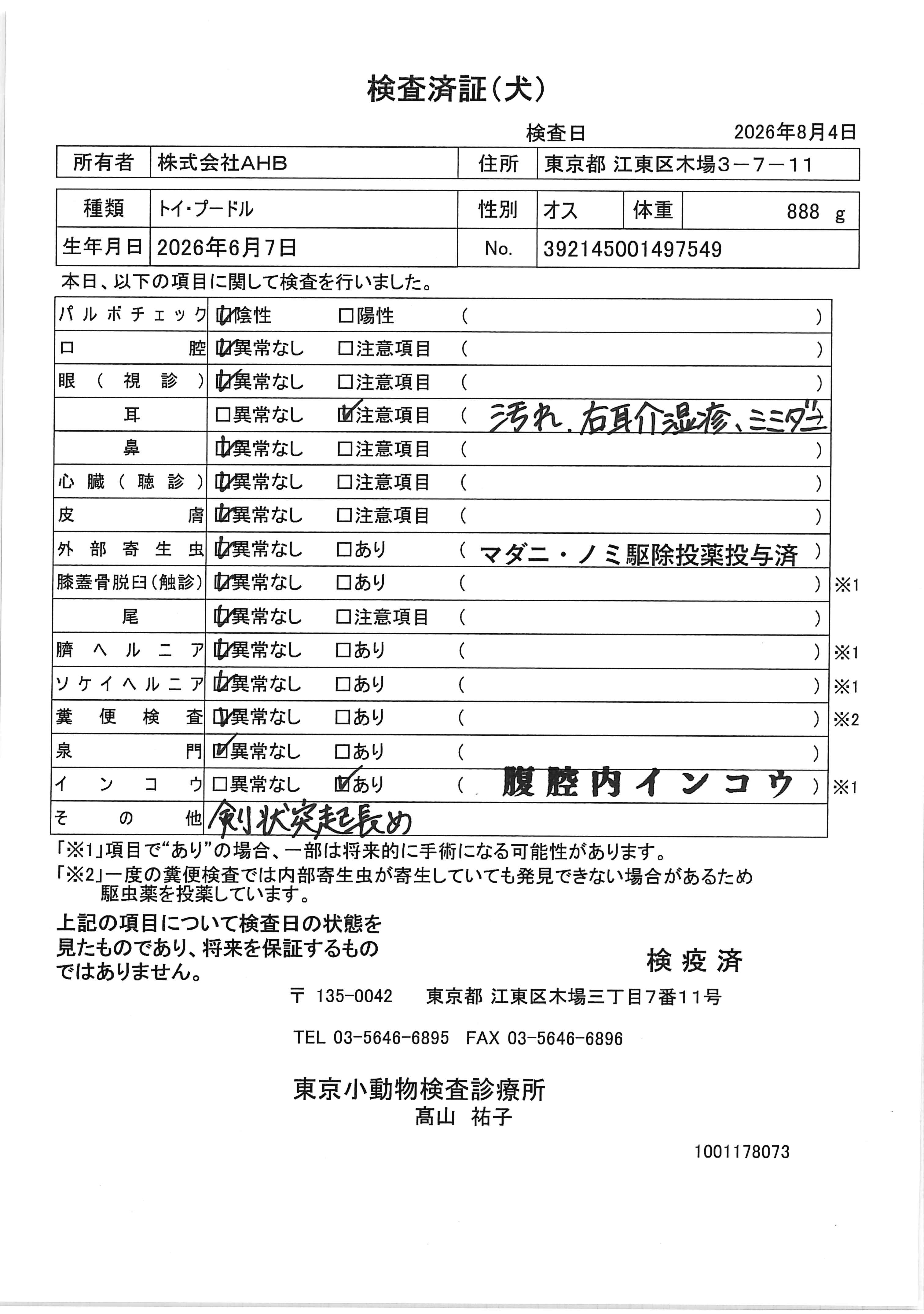 トイ・プードル