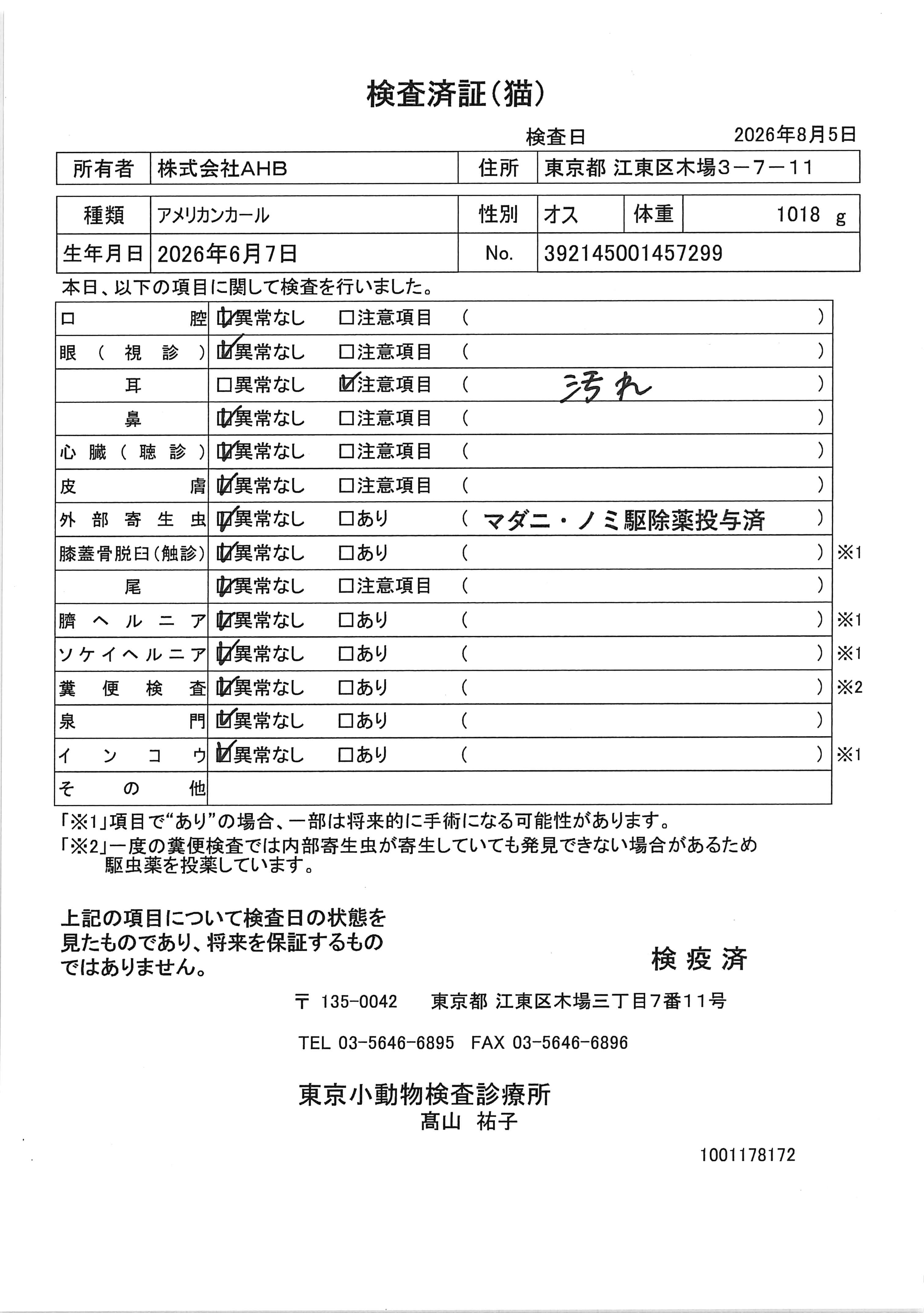 アメリカンカール