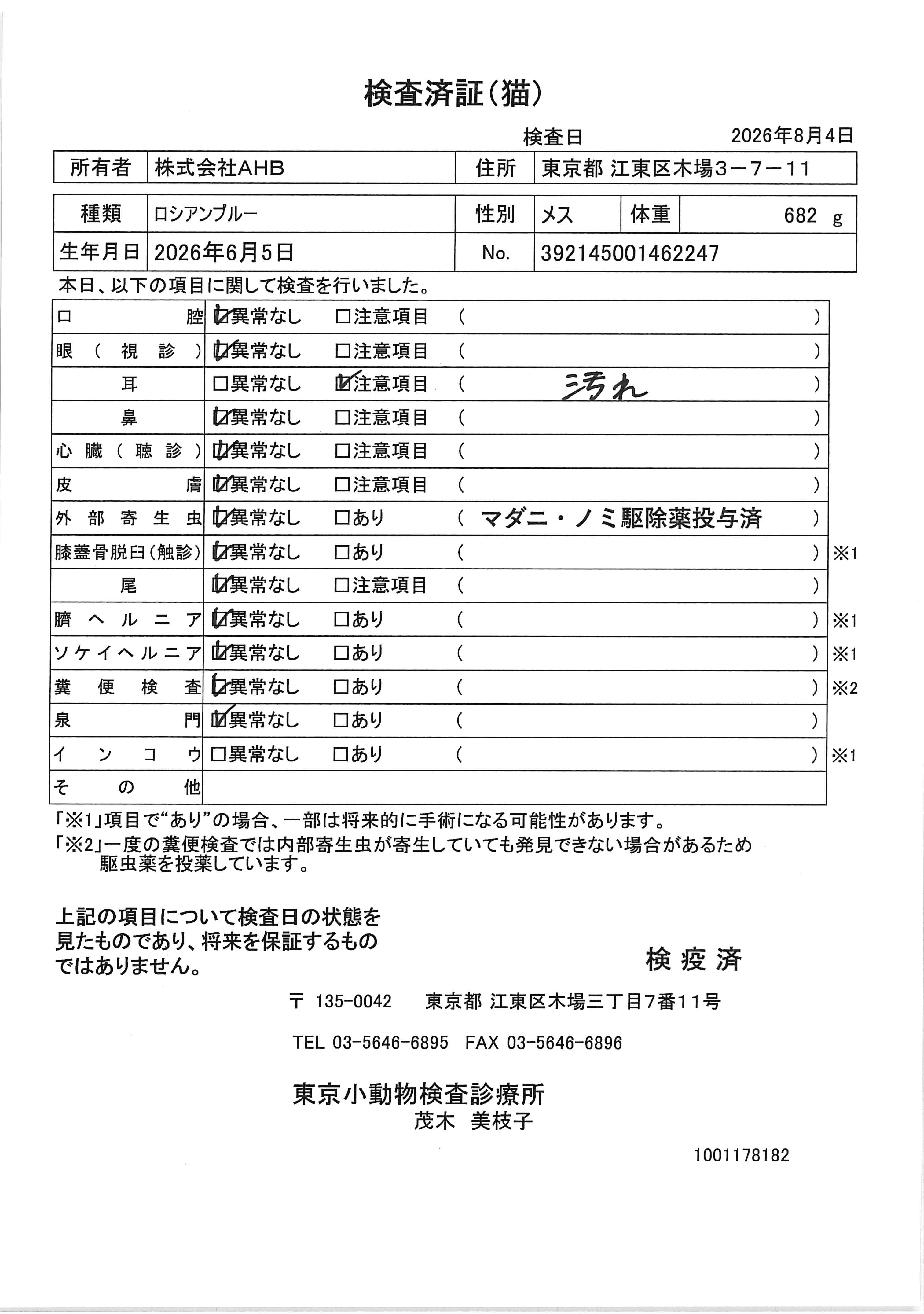 ロシアンブルー