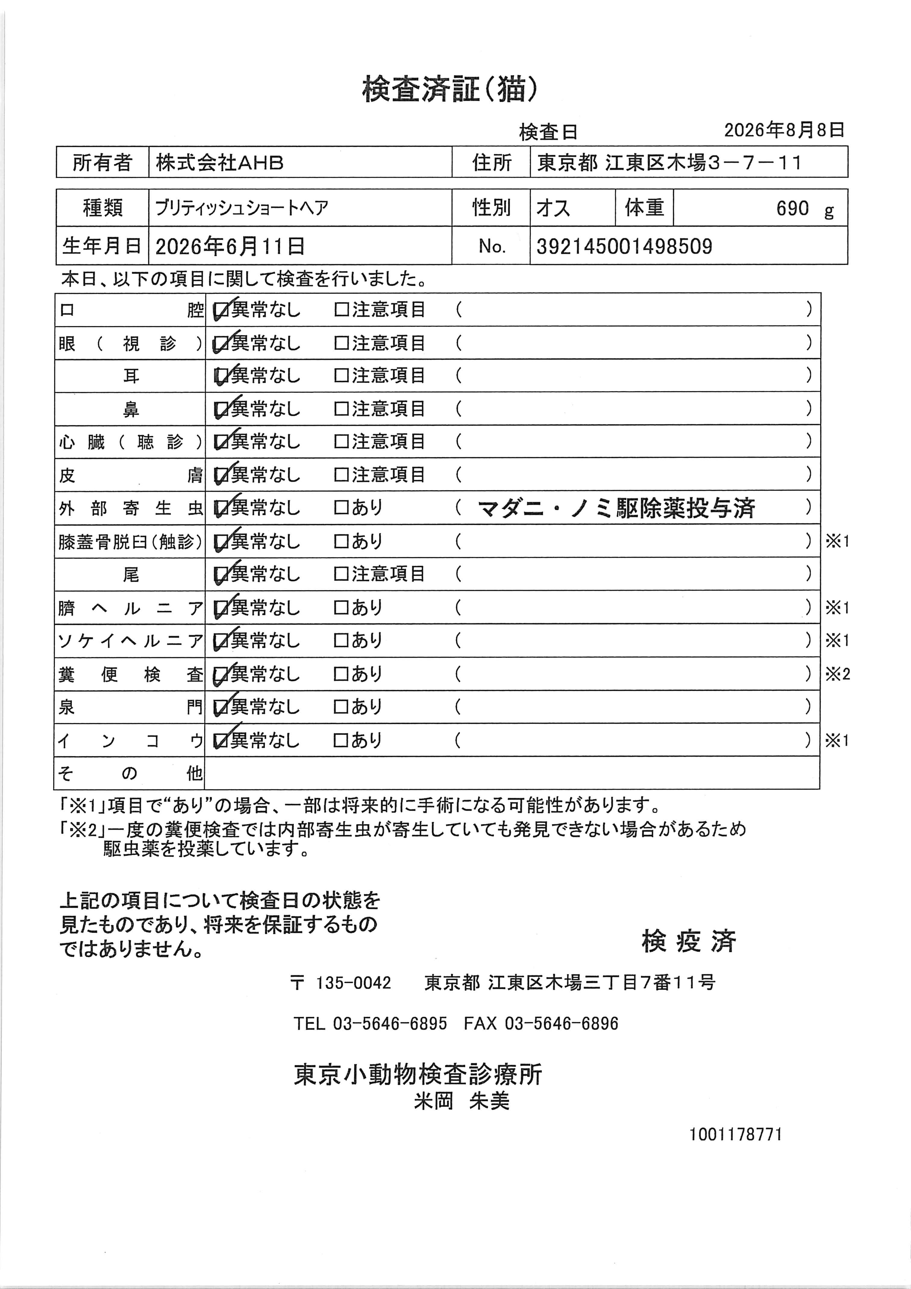 ブリティッシュショートヘア