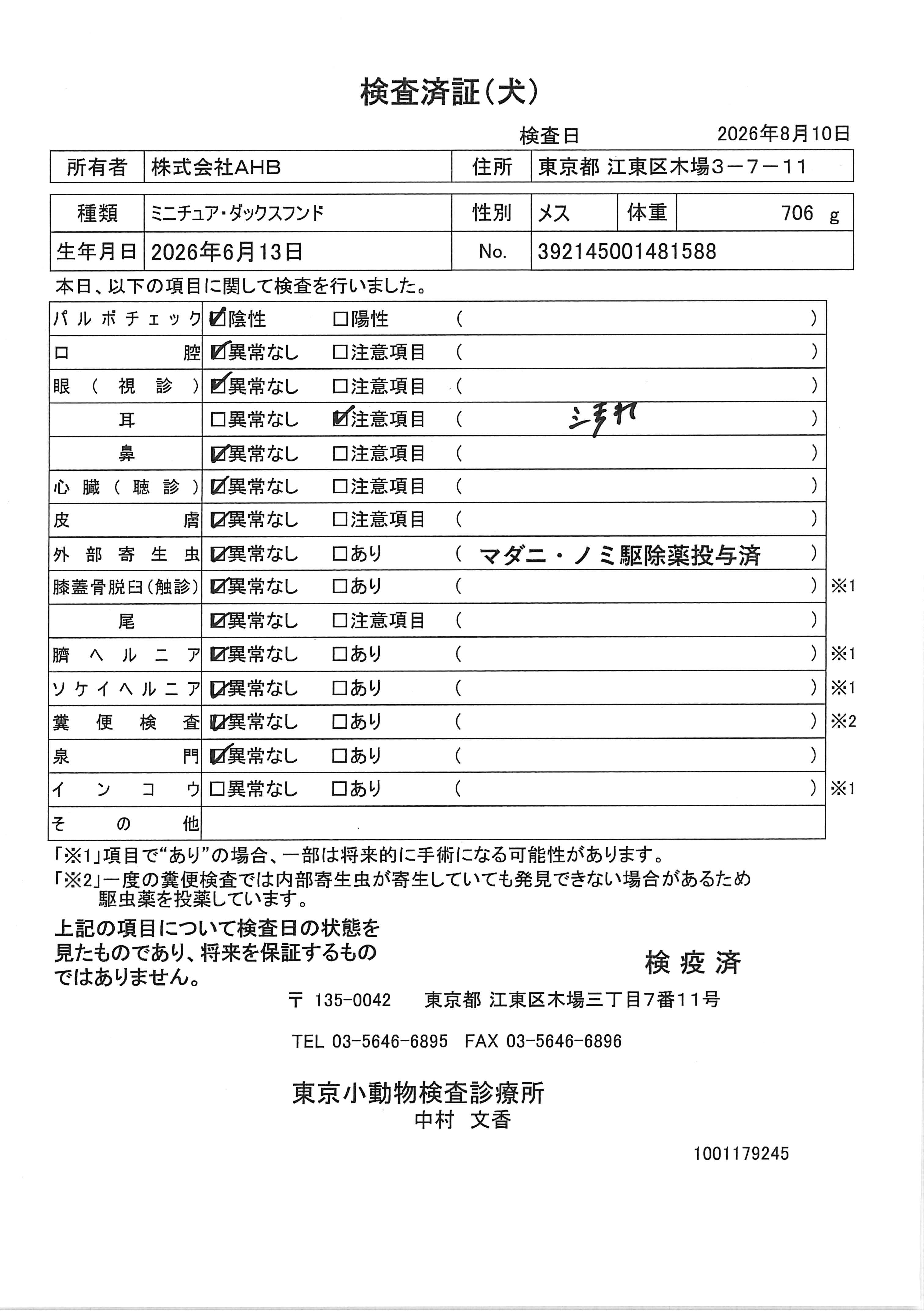 ミニチュア・ダックスフンド