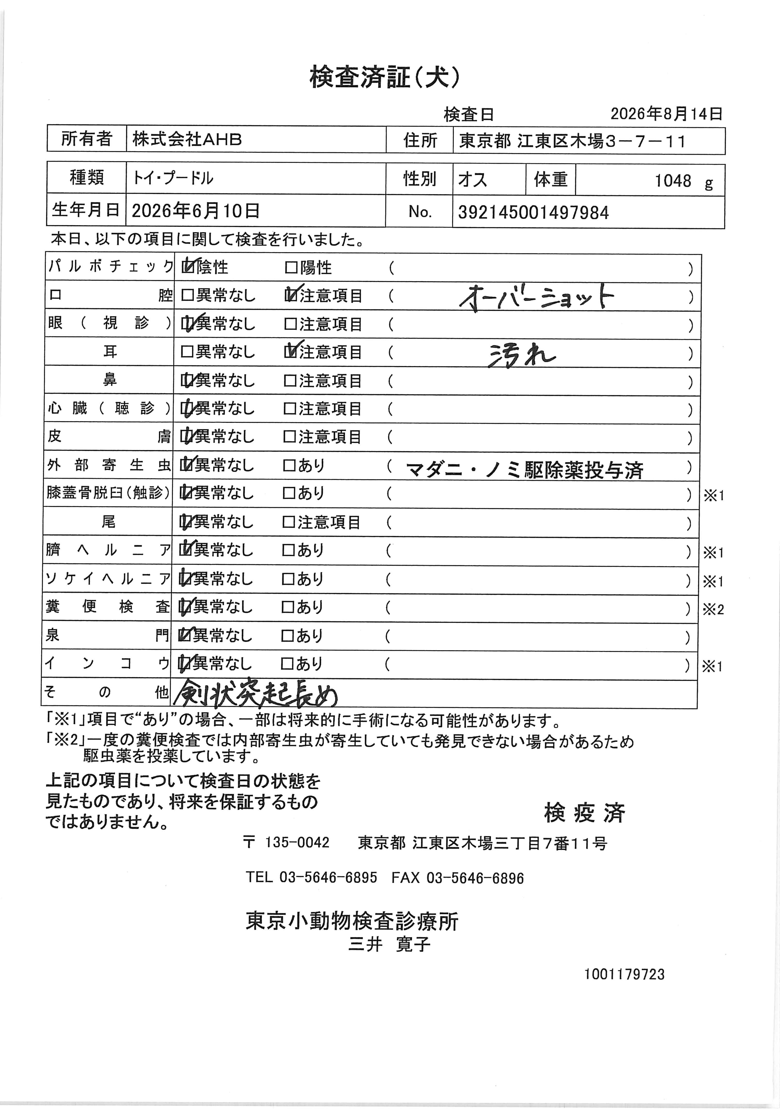 トイ・プードル