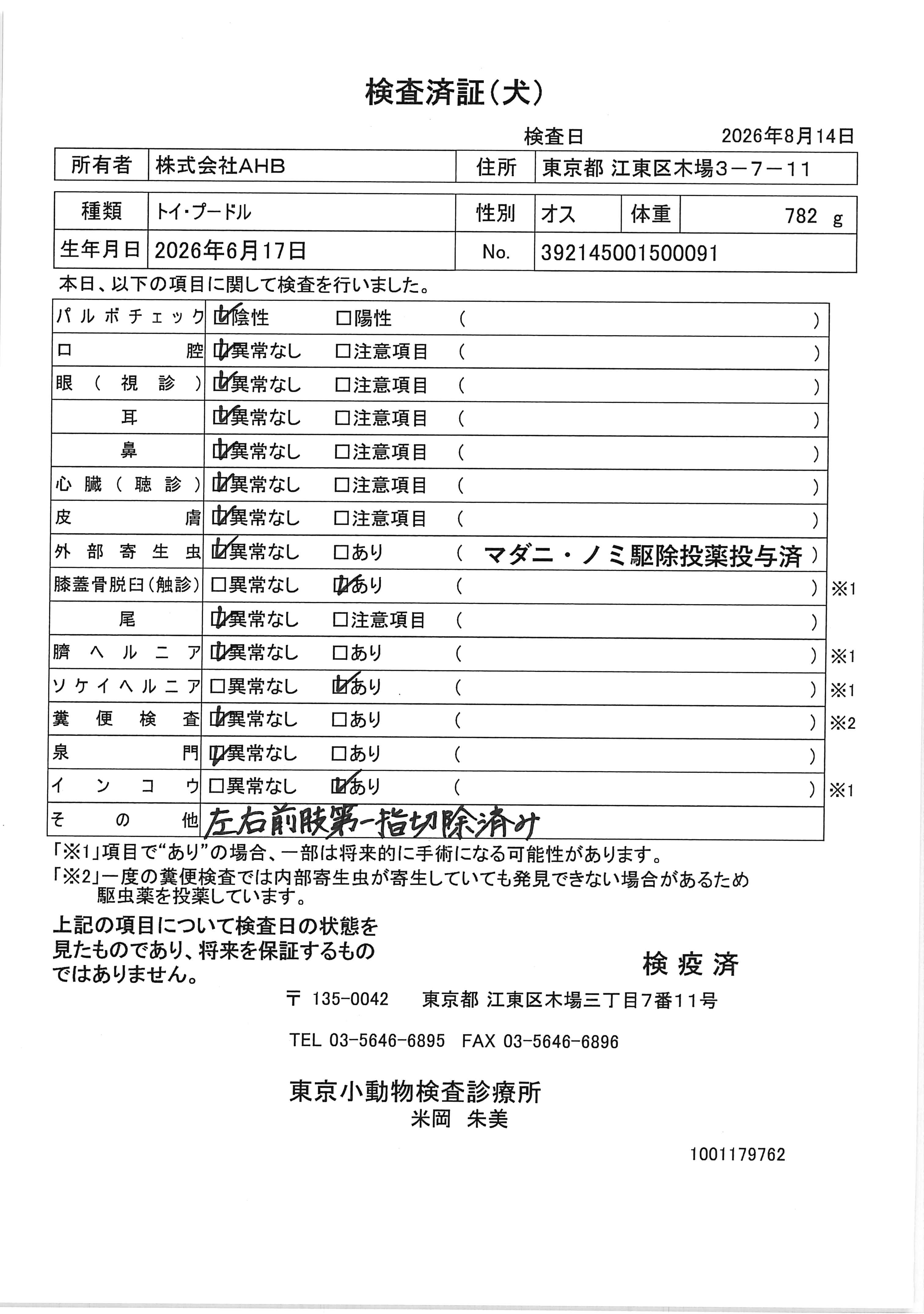 トイ・プードル