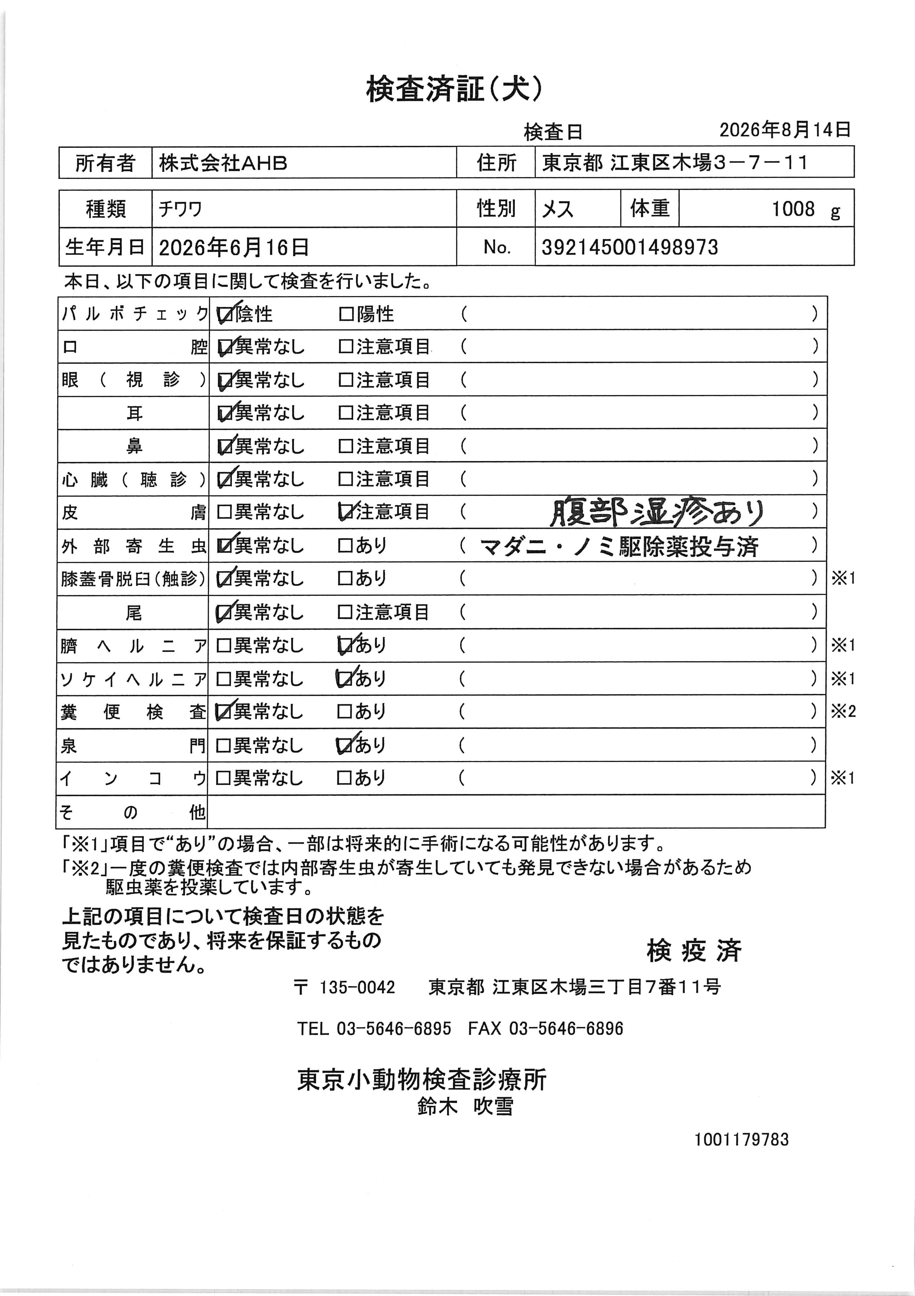チワワ