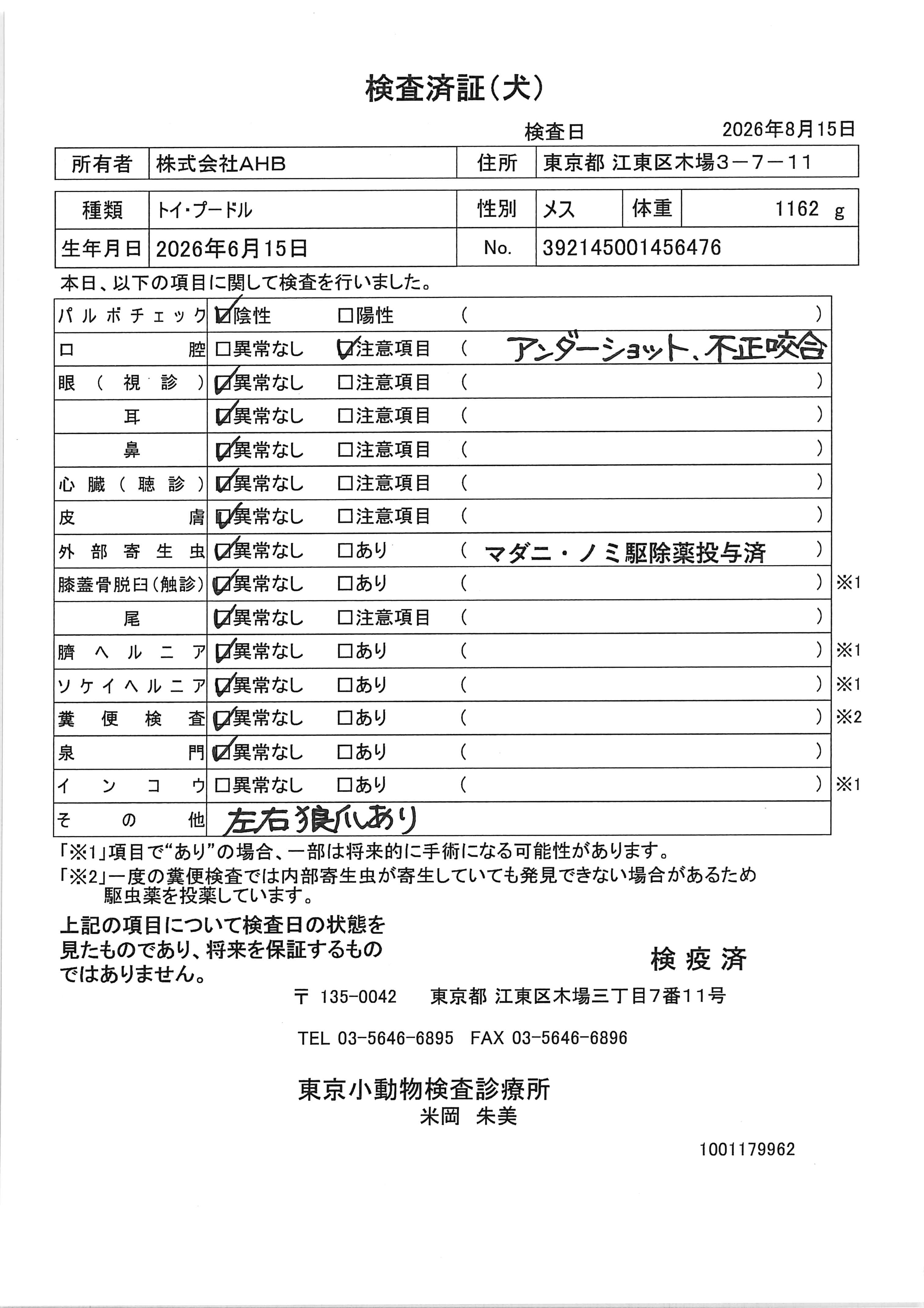 トイ・プードル