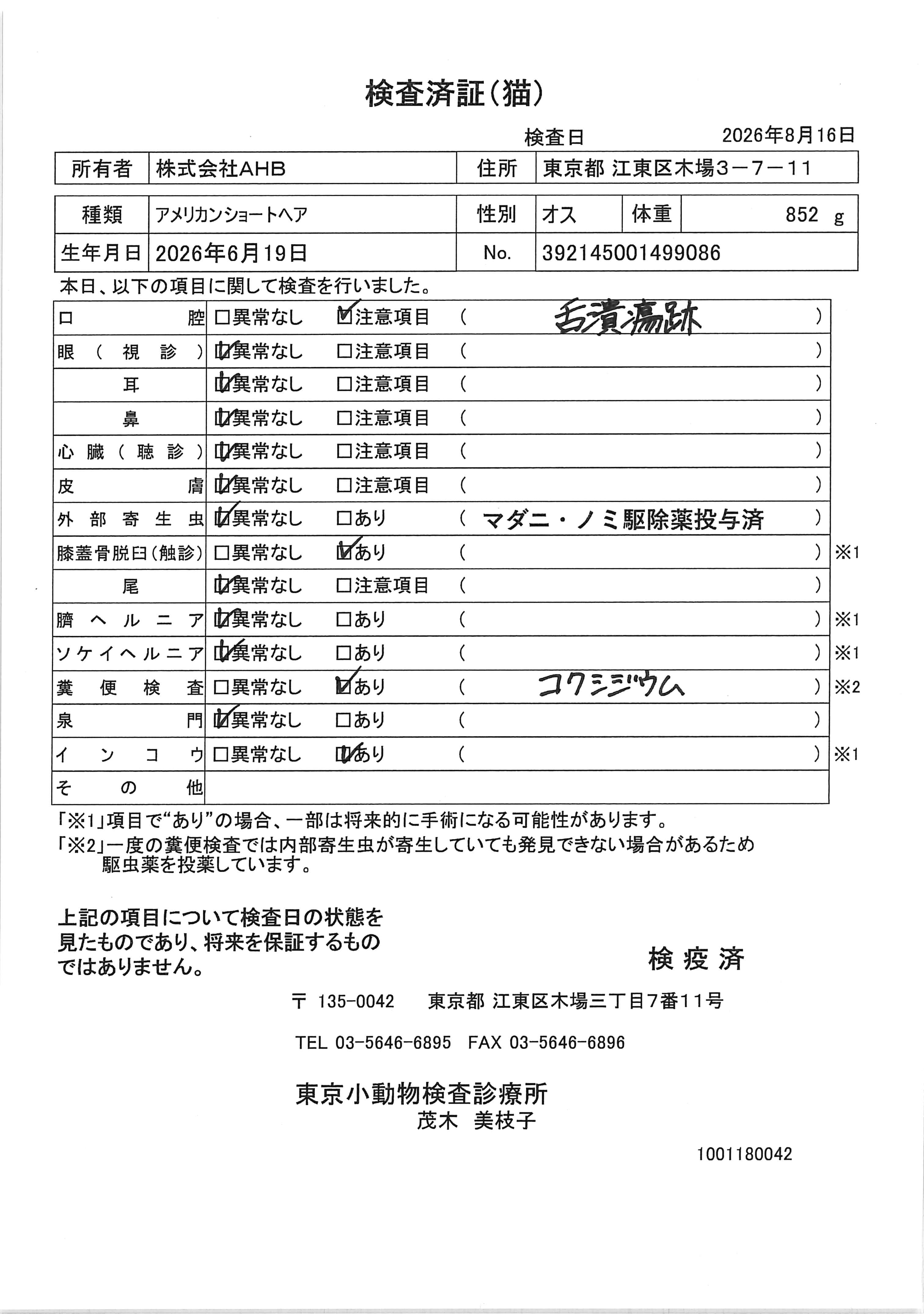 アメリカンショートヘア