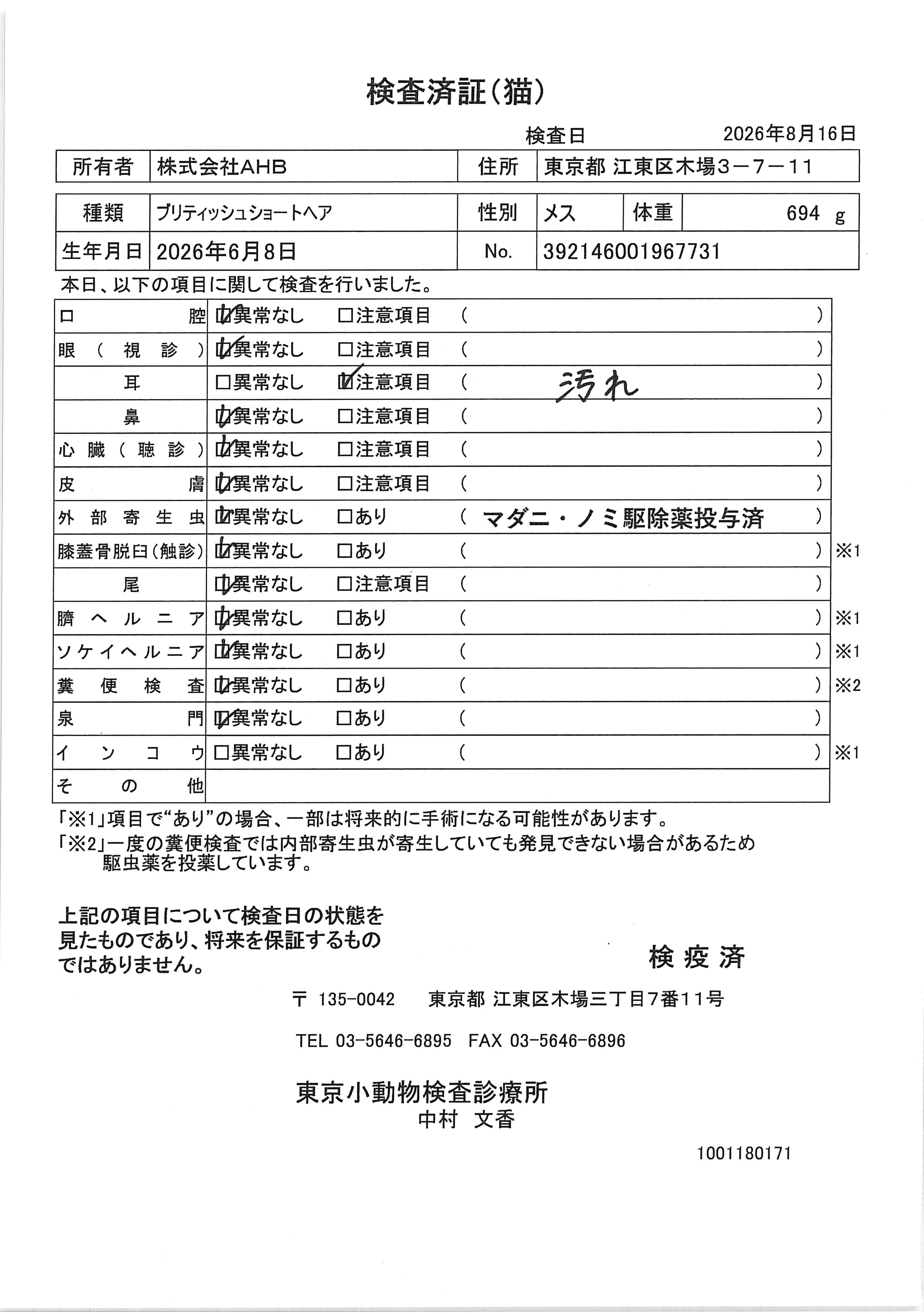 ブリティッシュショートヘア