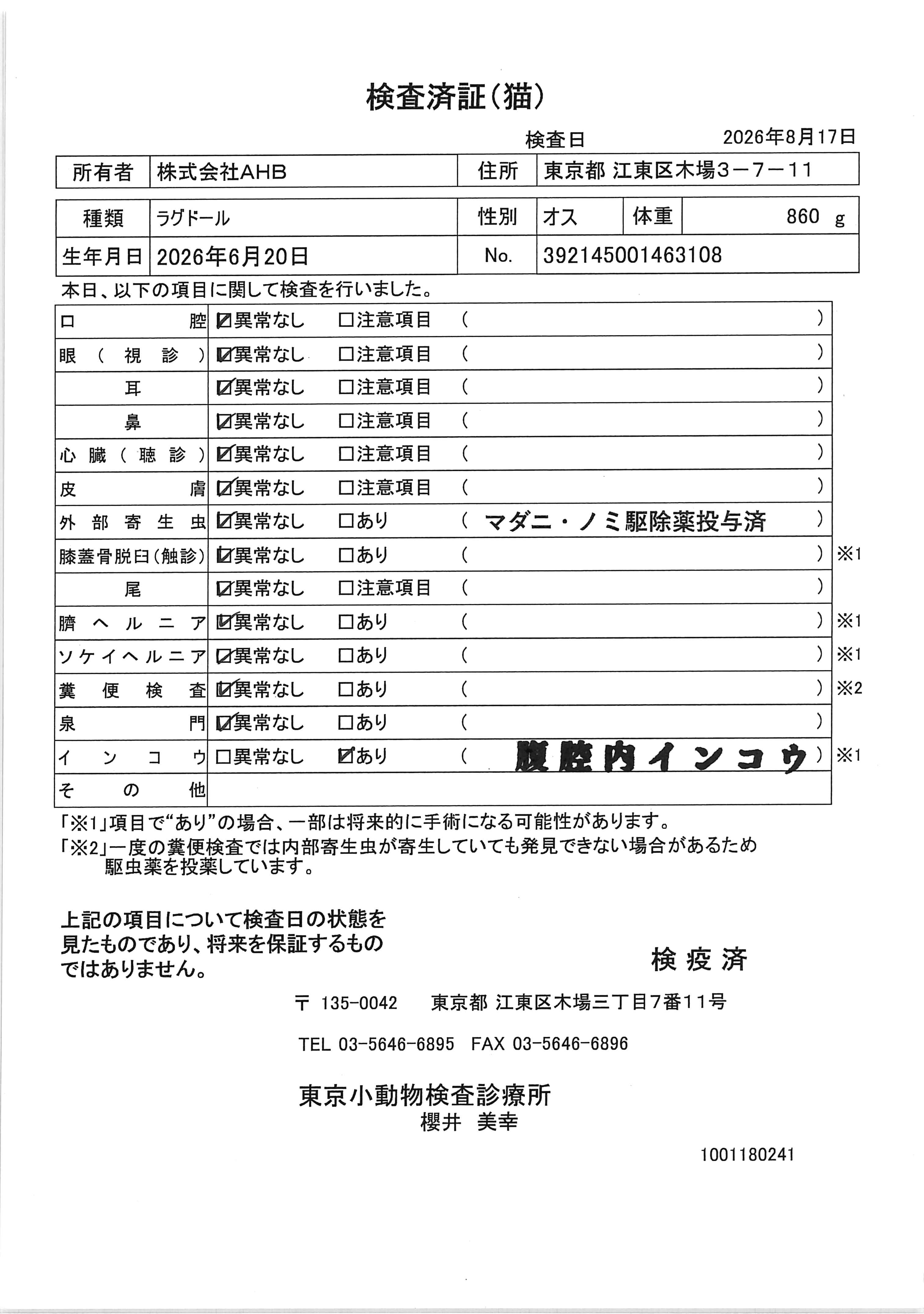 ラグドール