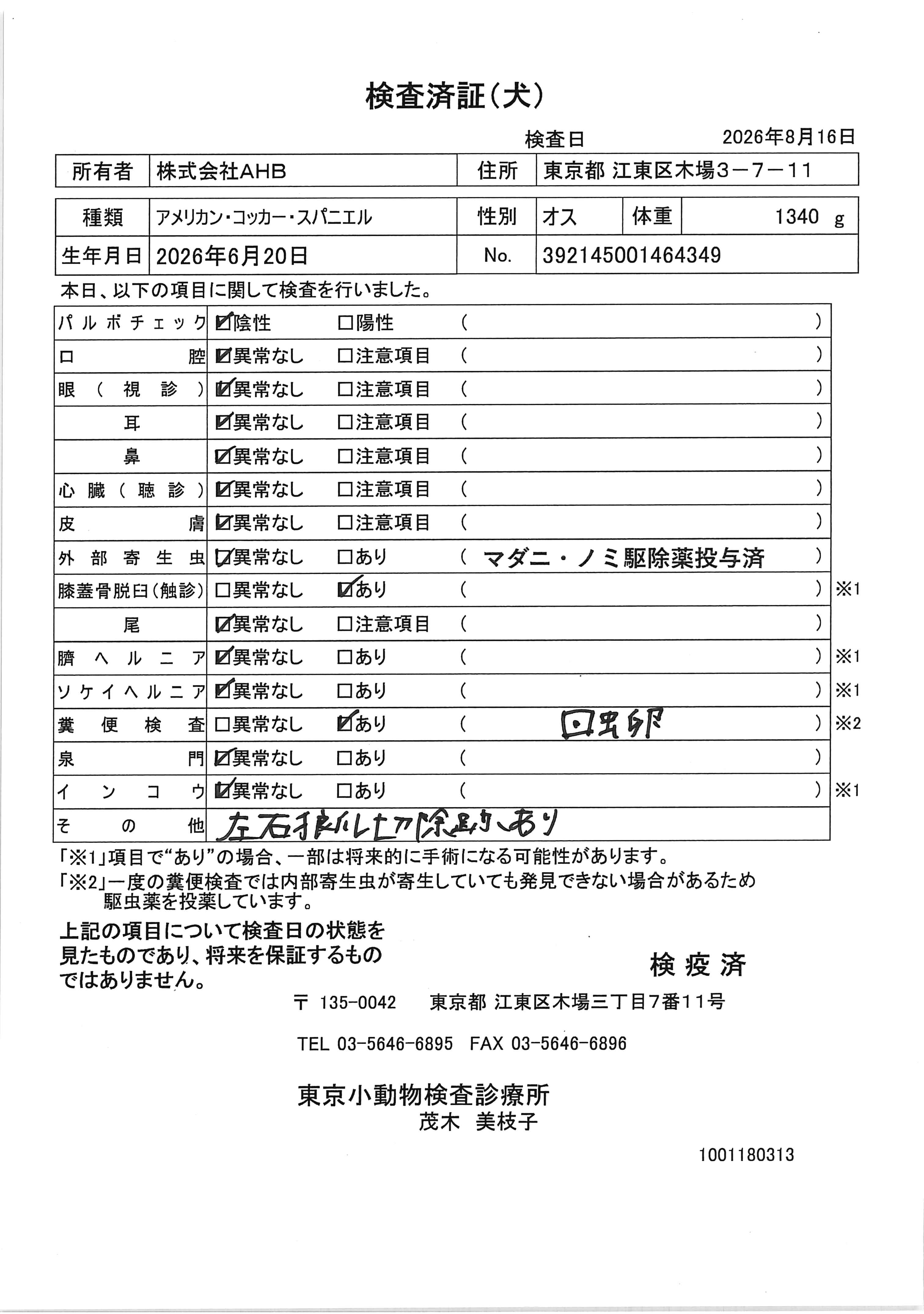 アメリカン・コッカー・スパニエル