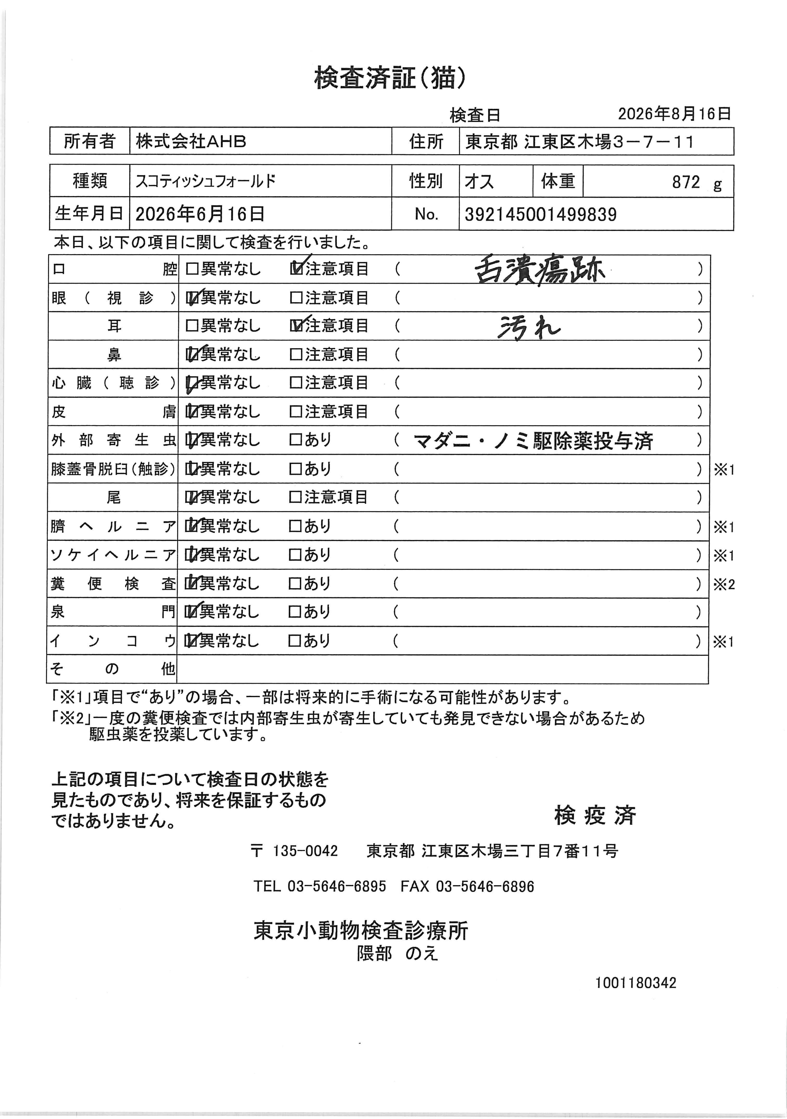スコティッシュフォールド