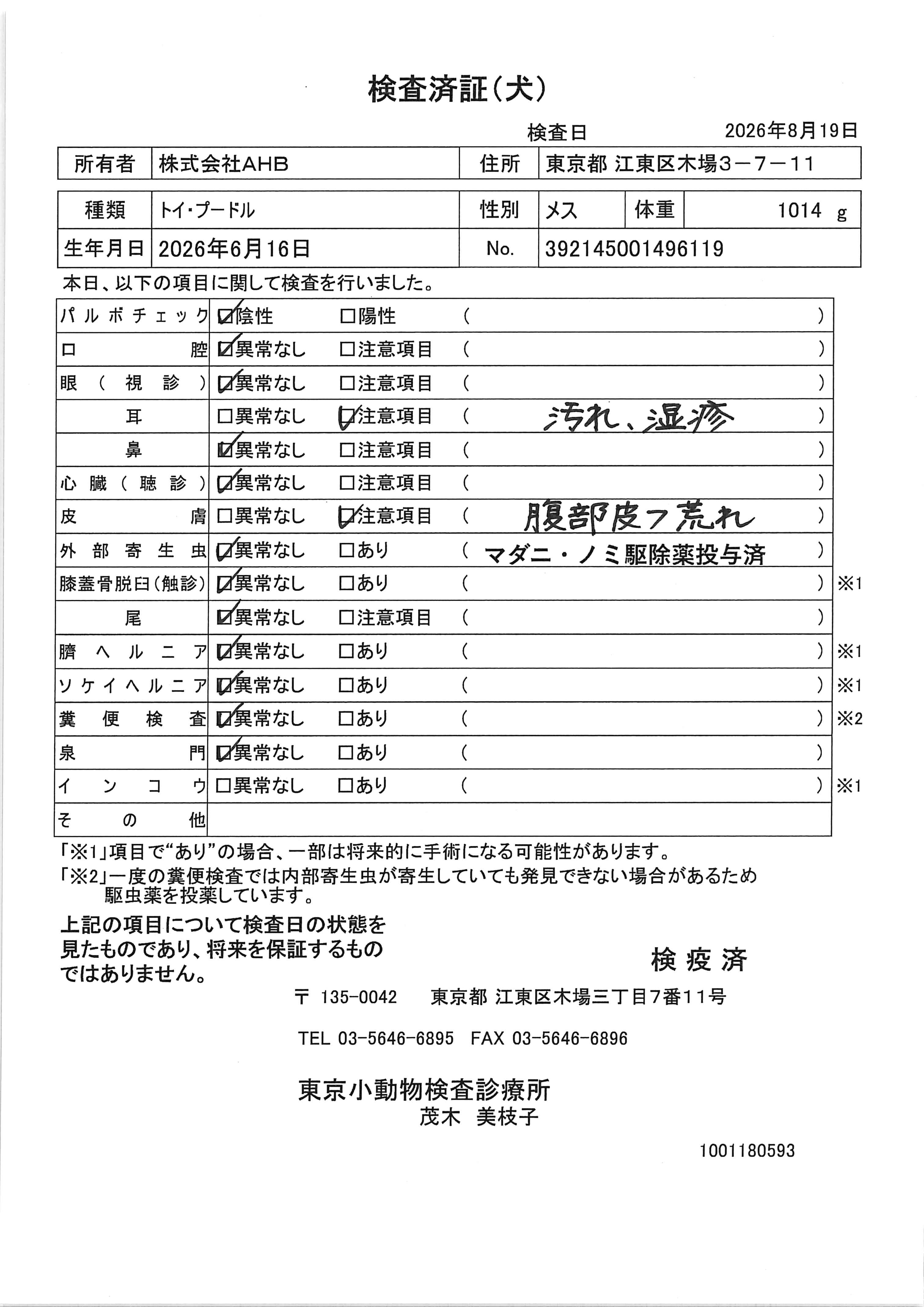 トイ・プードル
