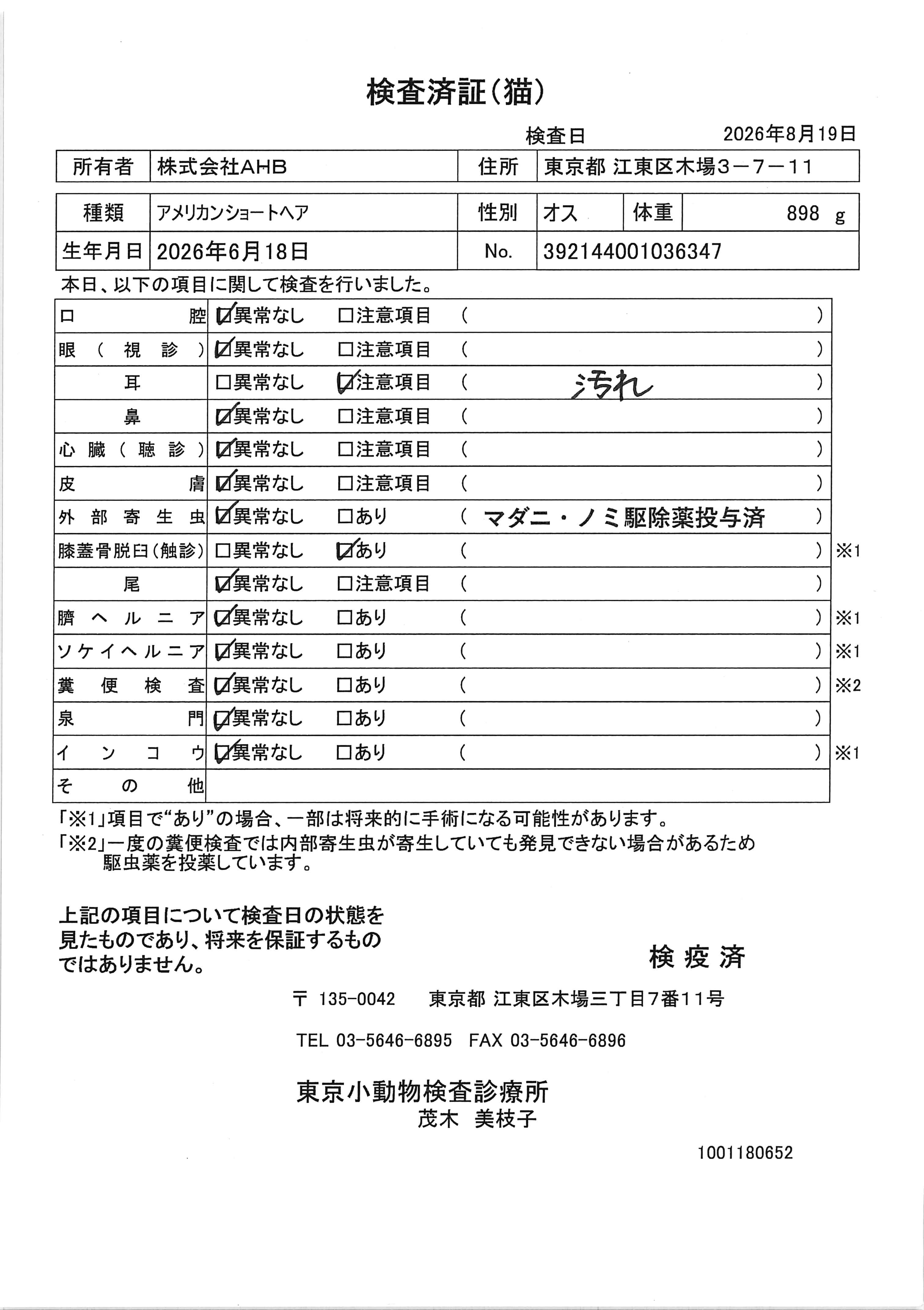 アメリカンショートヘア