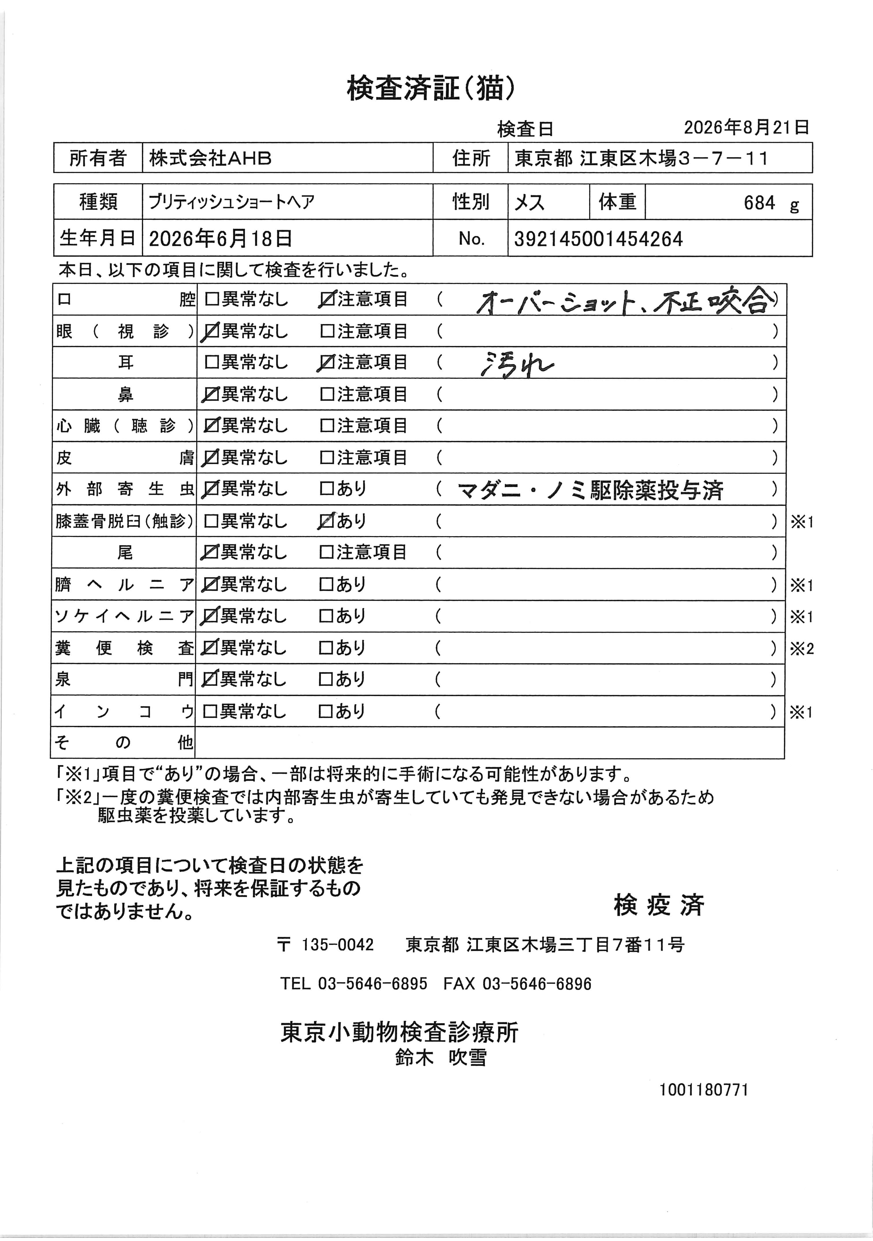 ブリティッシュショートヘア