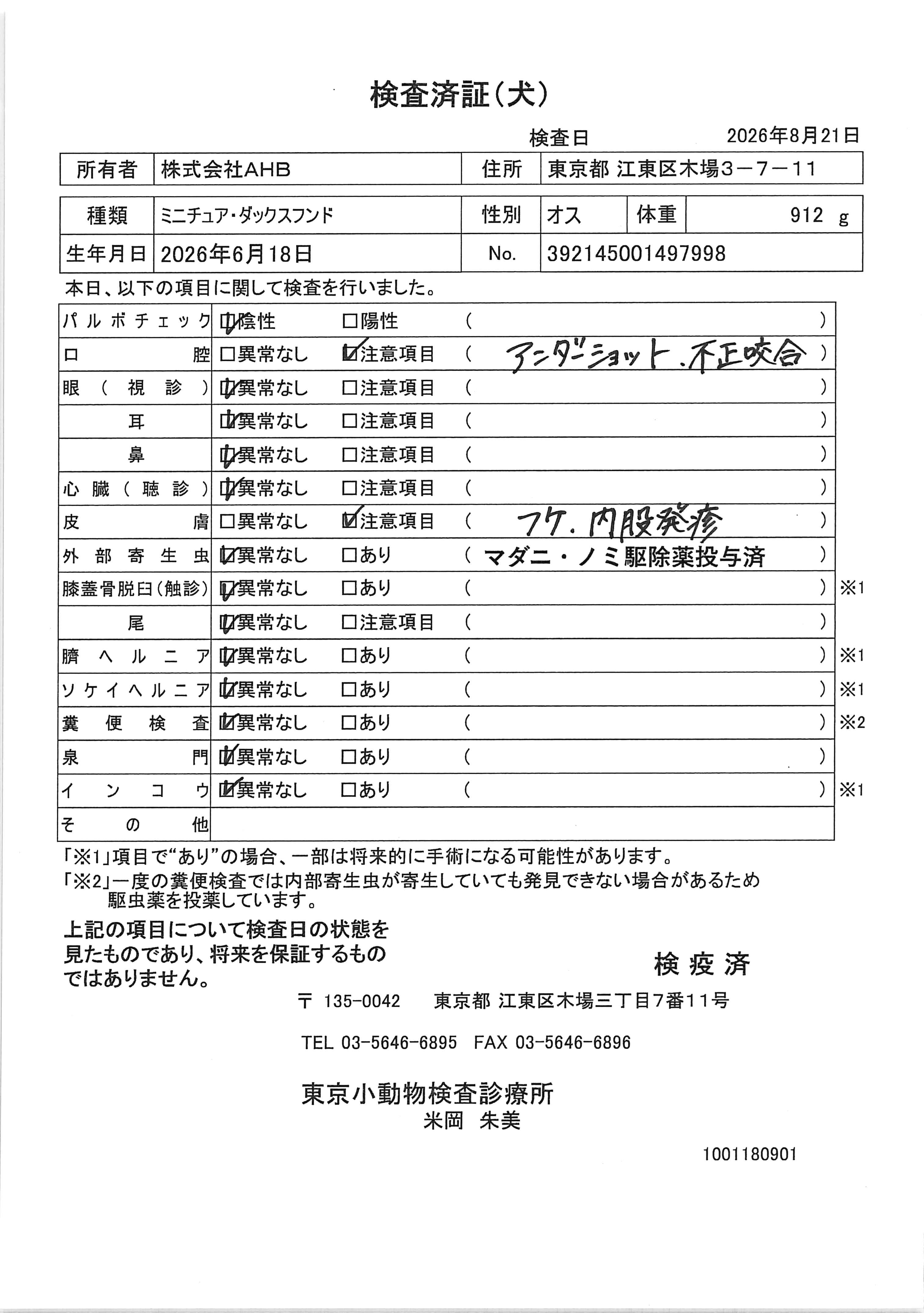 ミニチュア・ダックスフンド