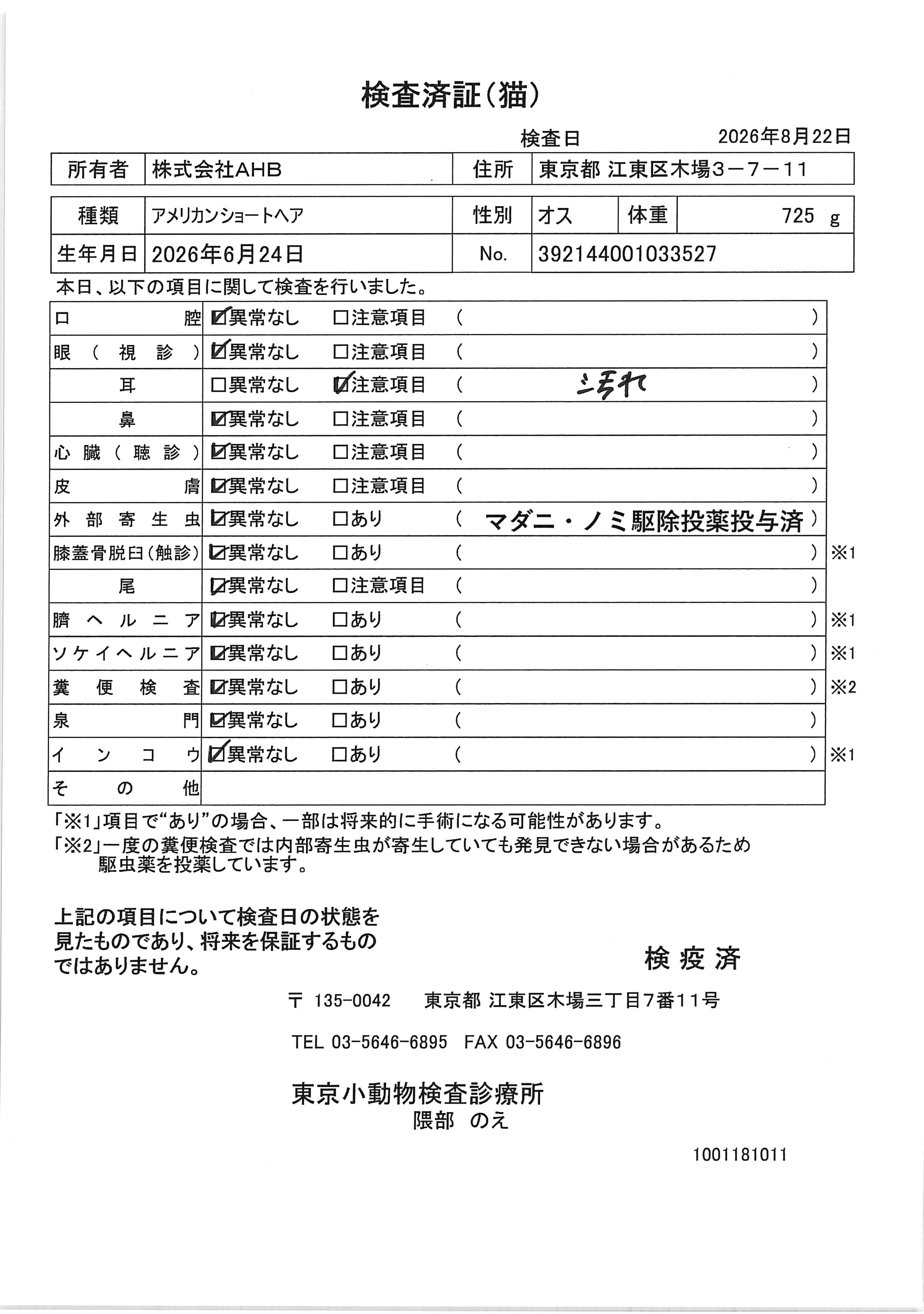 アメリカンショートヘア