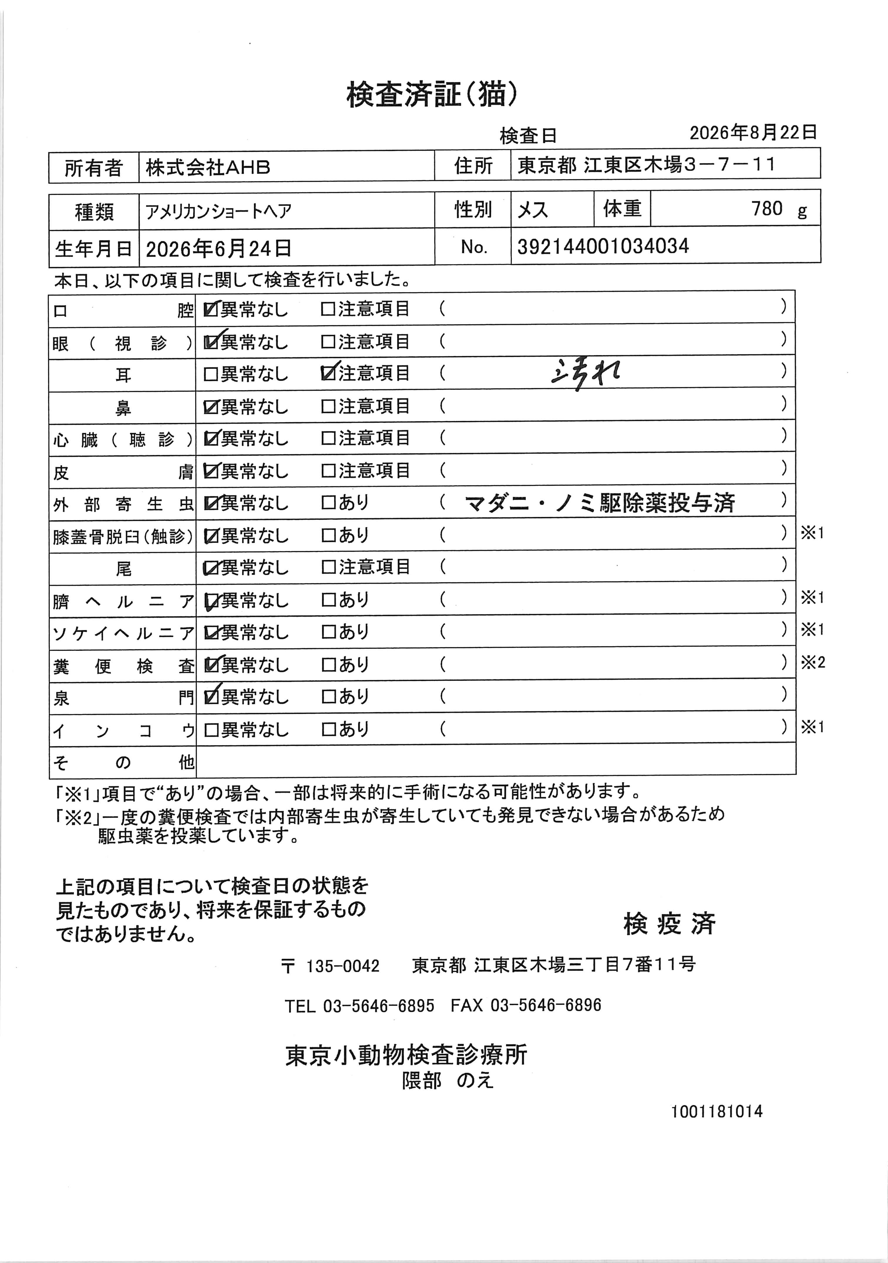 アメリカンショートヘア
