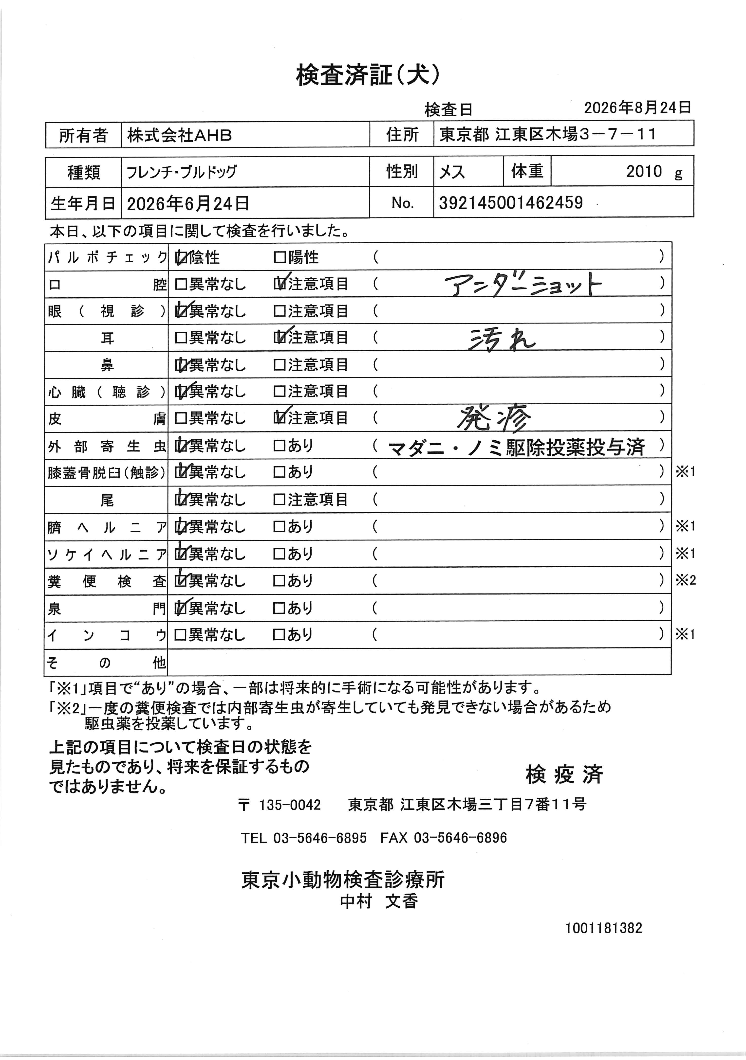 フレンチ・ブルドッグ