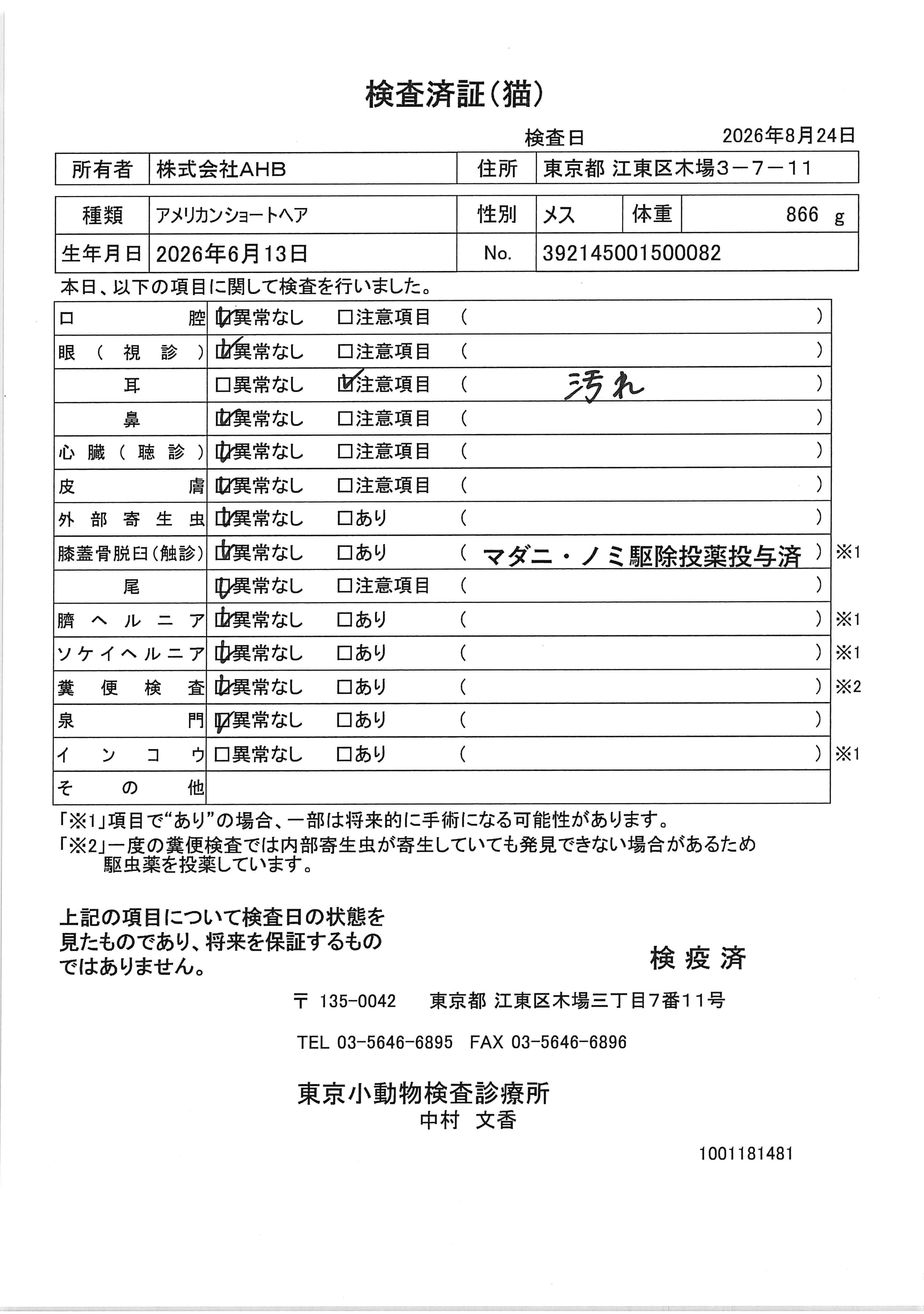 アメリカンショートヘア