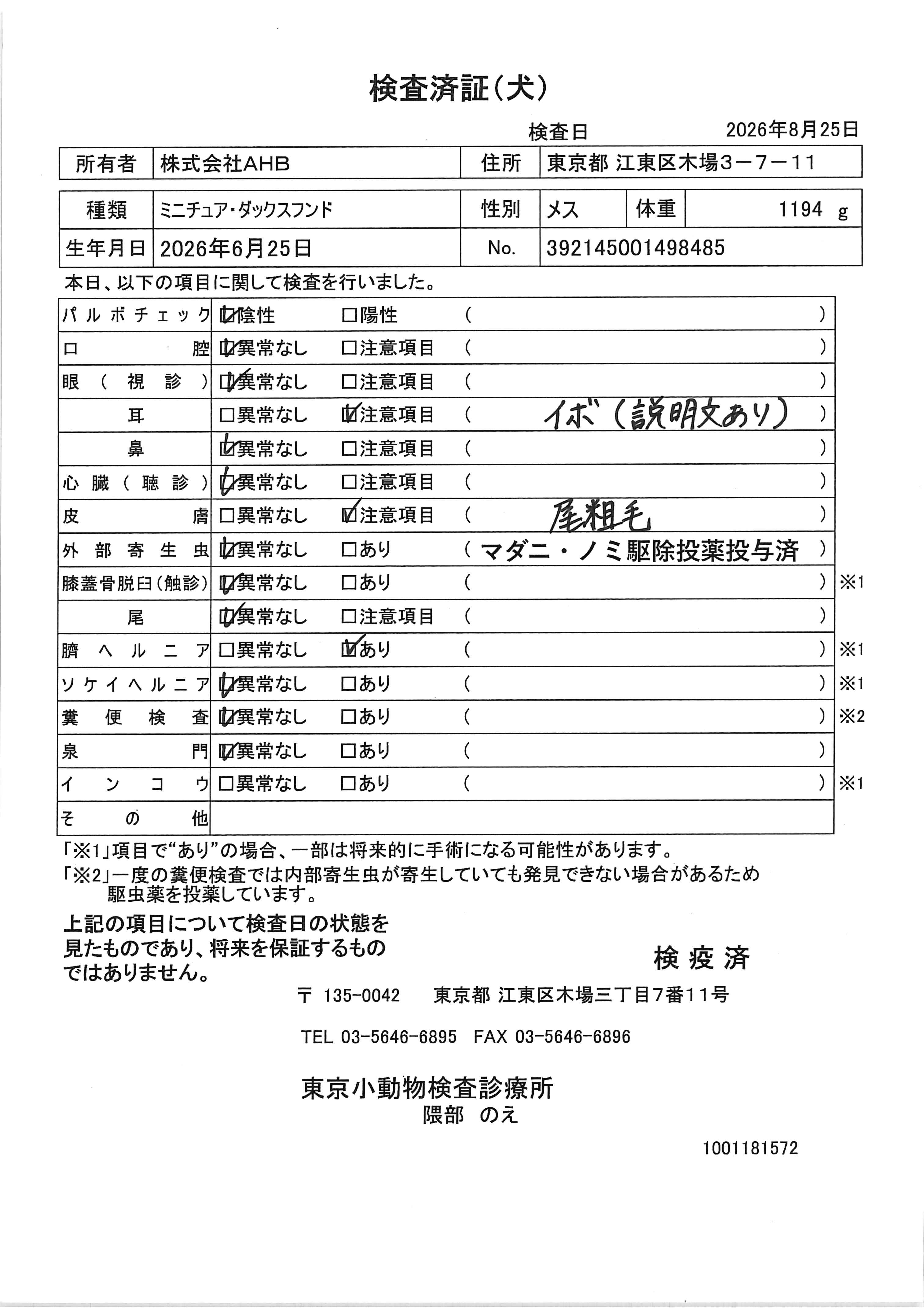 ミニチュア・ダックスフンド