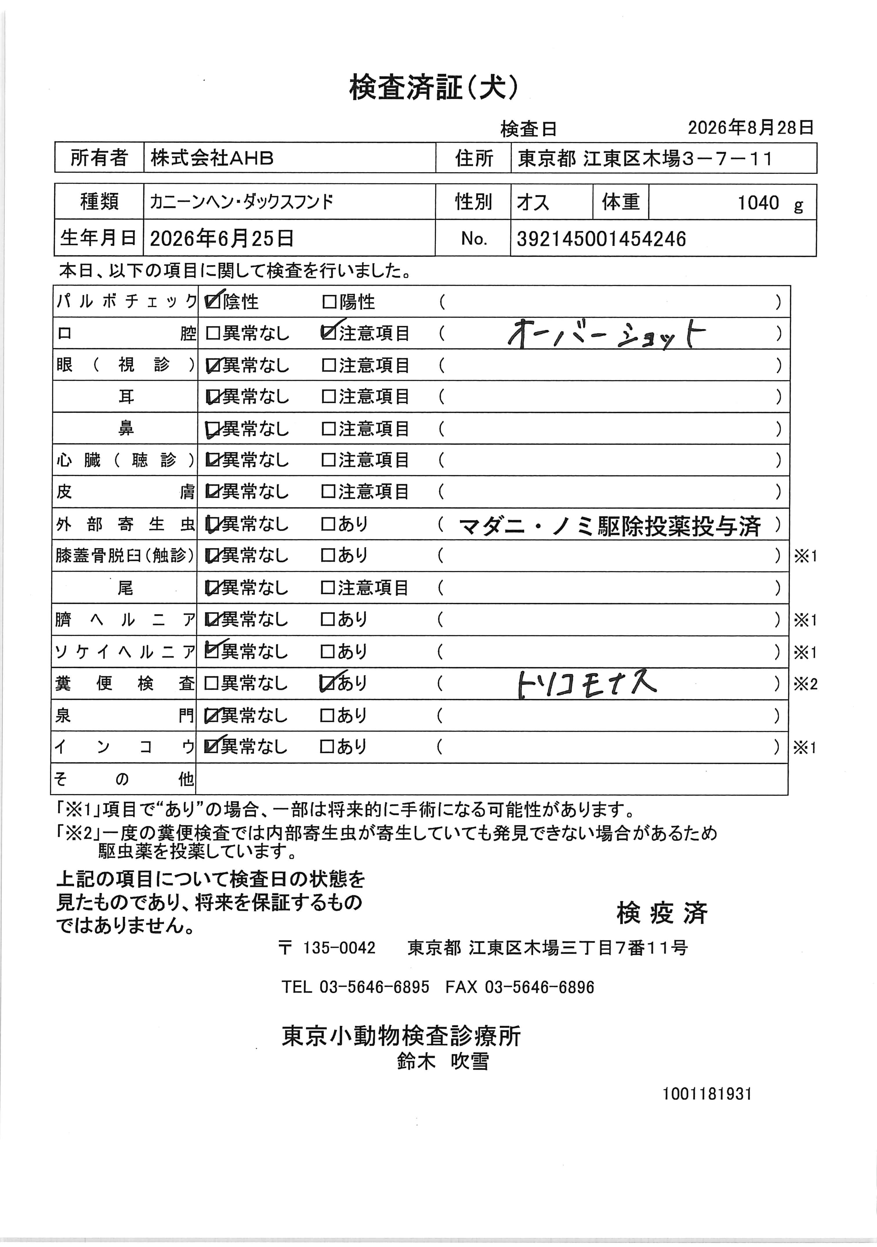 カニーンヘン・ダックスフンド