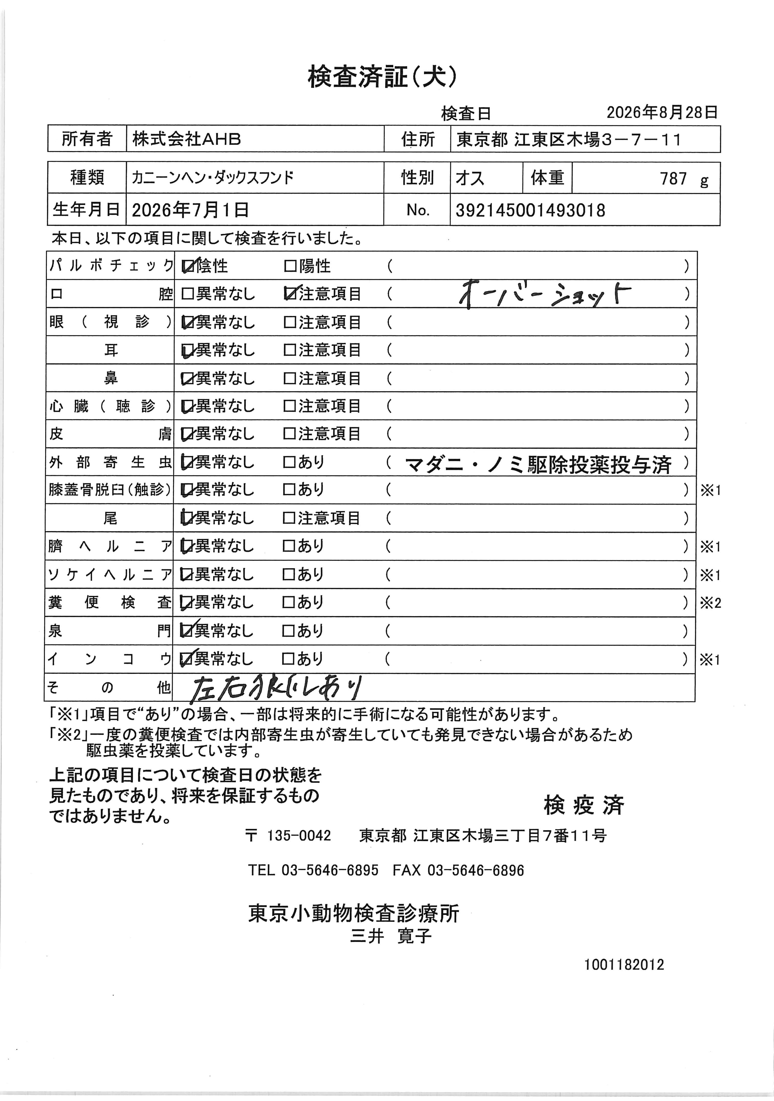 カニーンヘン・ダックスフンド