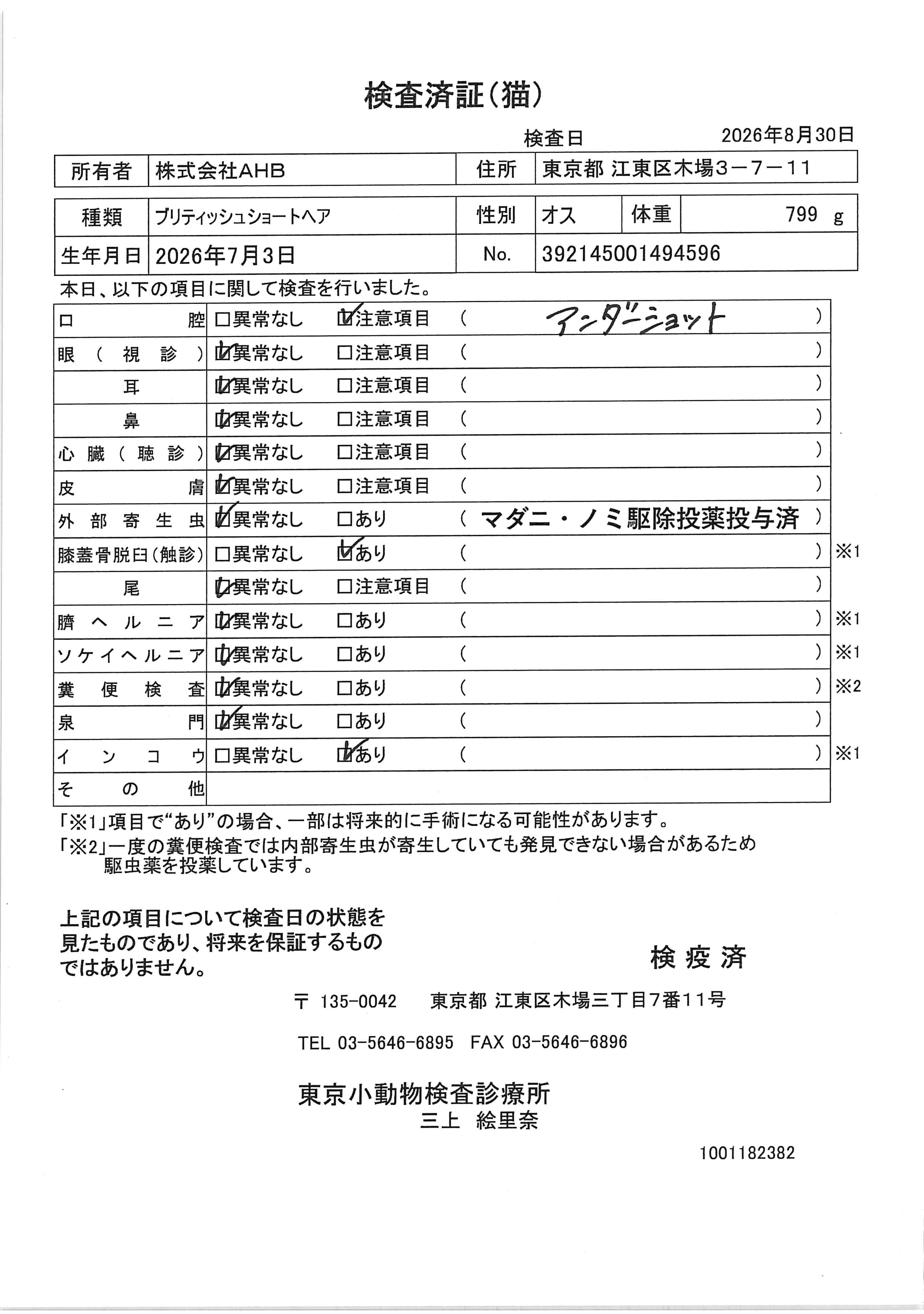 ブリティッシュショートヘア