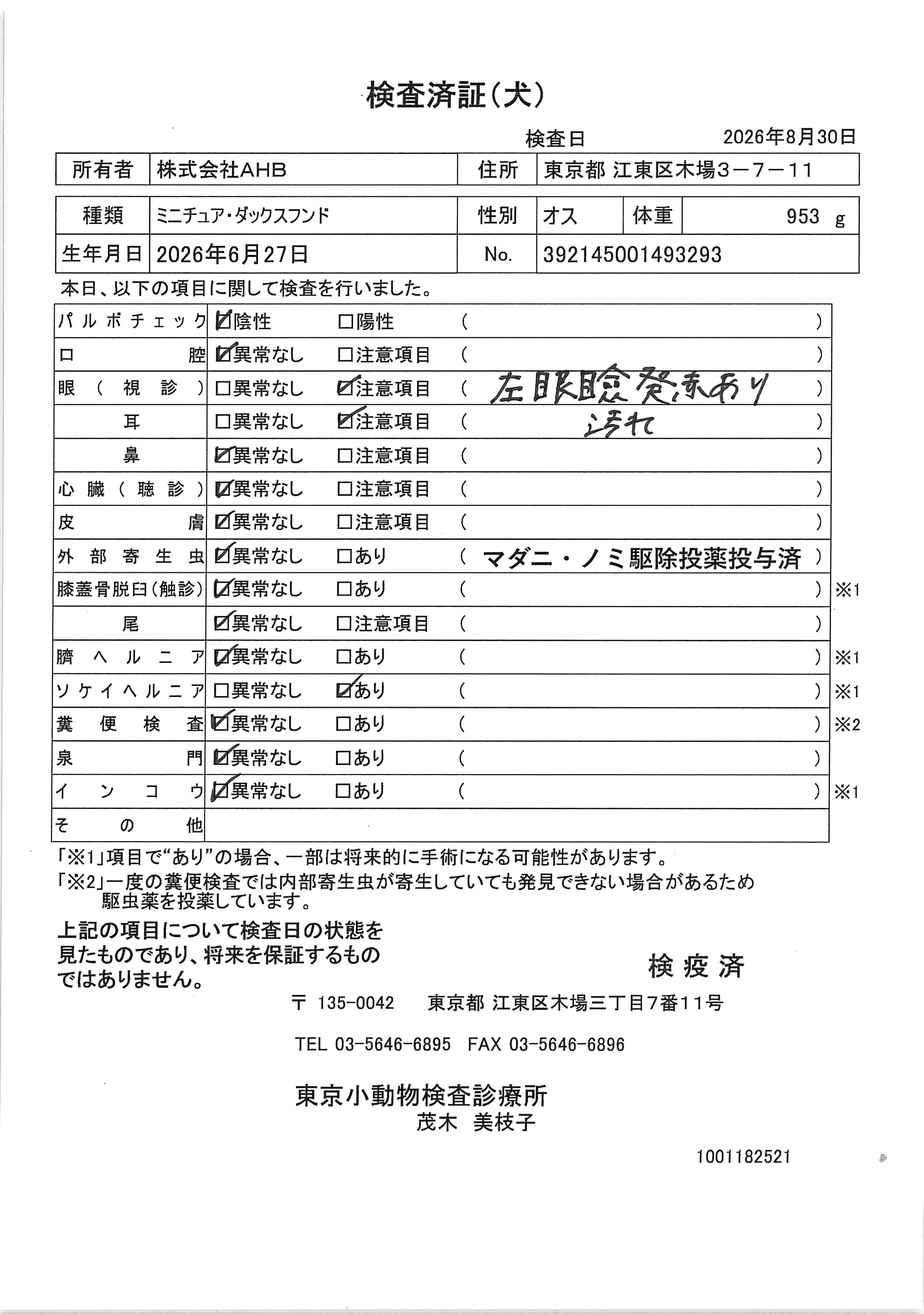 ミニチュア・ダックスフンド