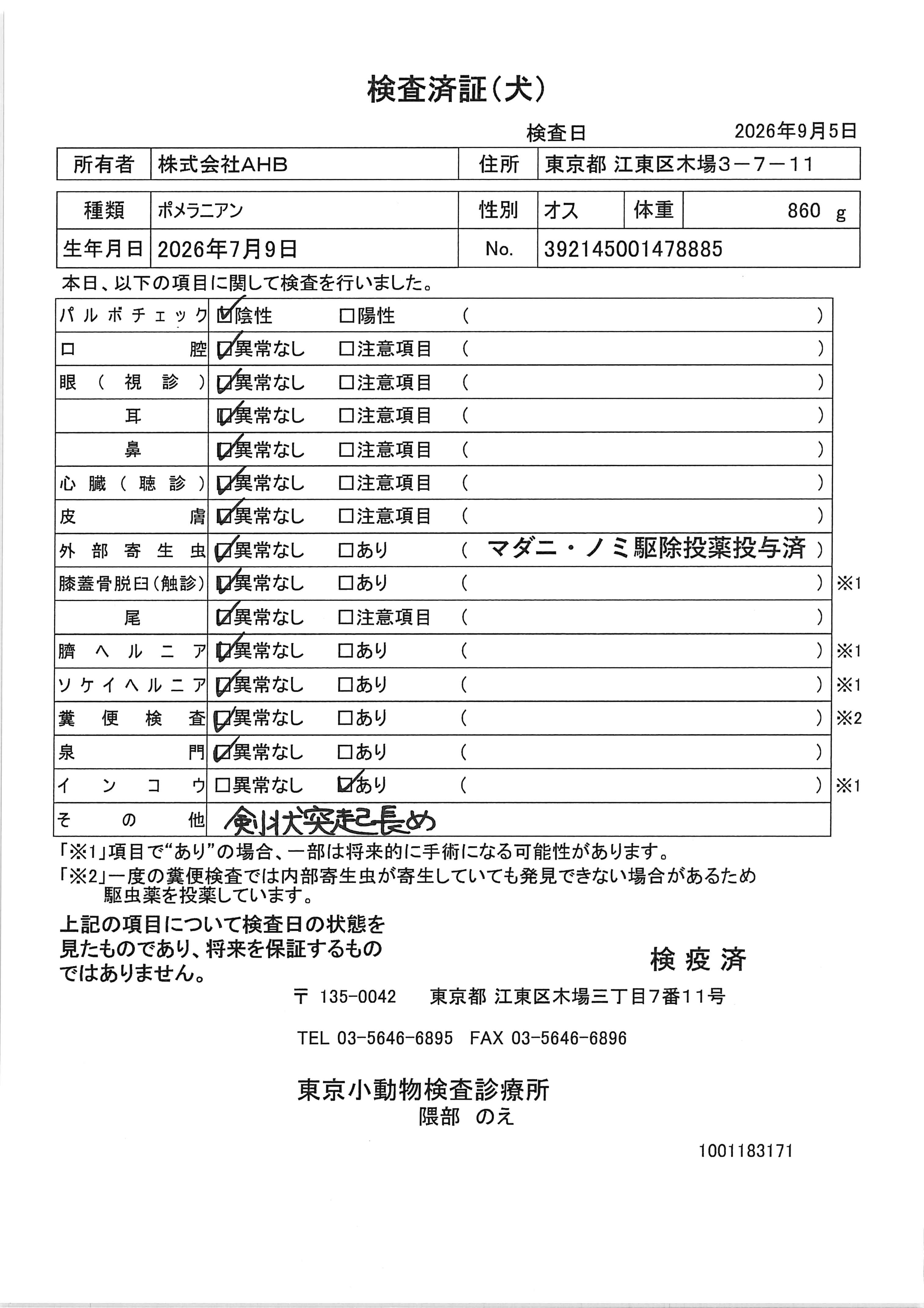 ポメラニアン