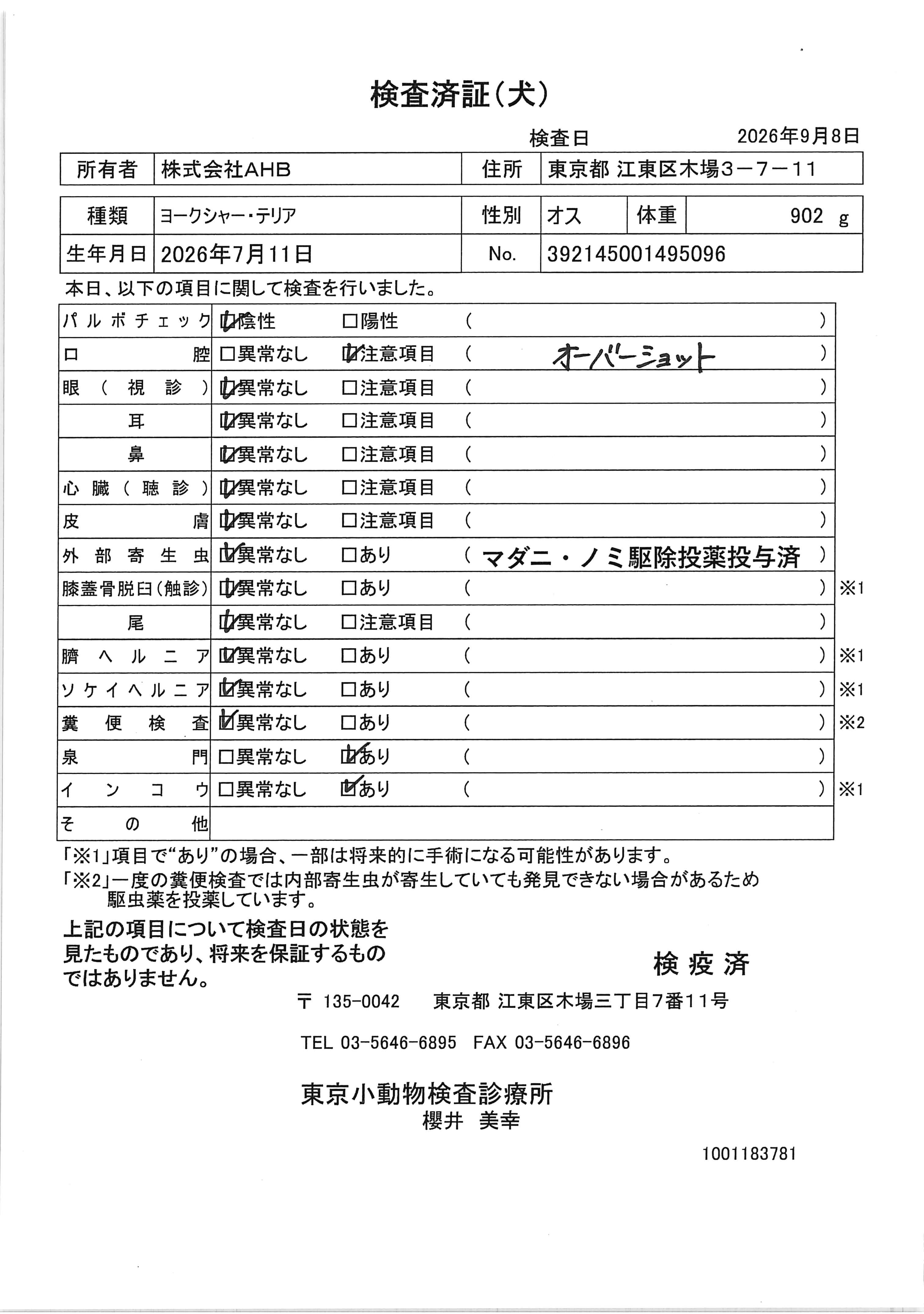 ヨークシャー・テリア