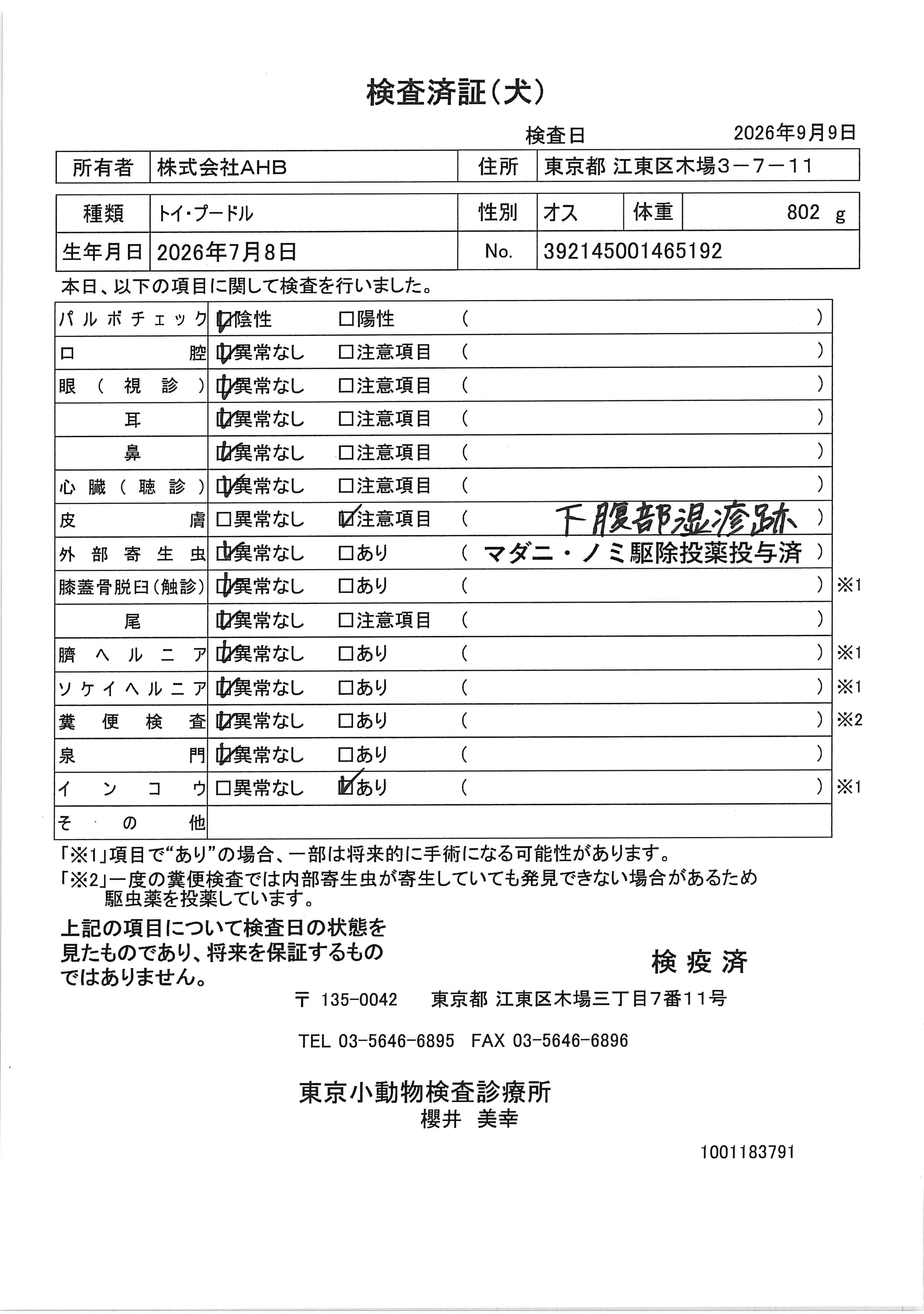 トイ・プードル