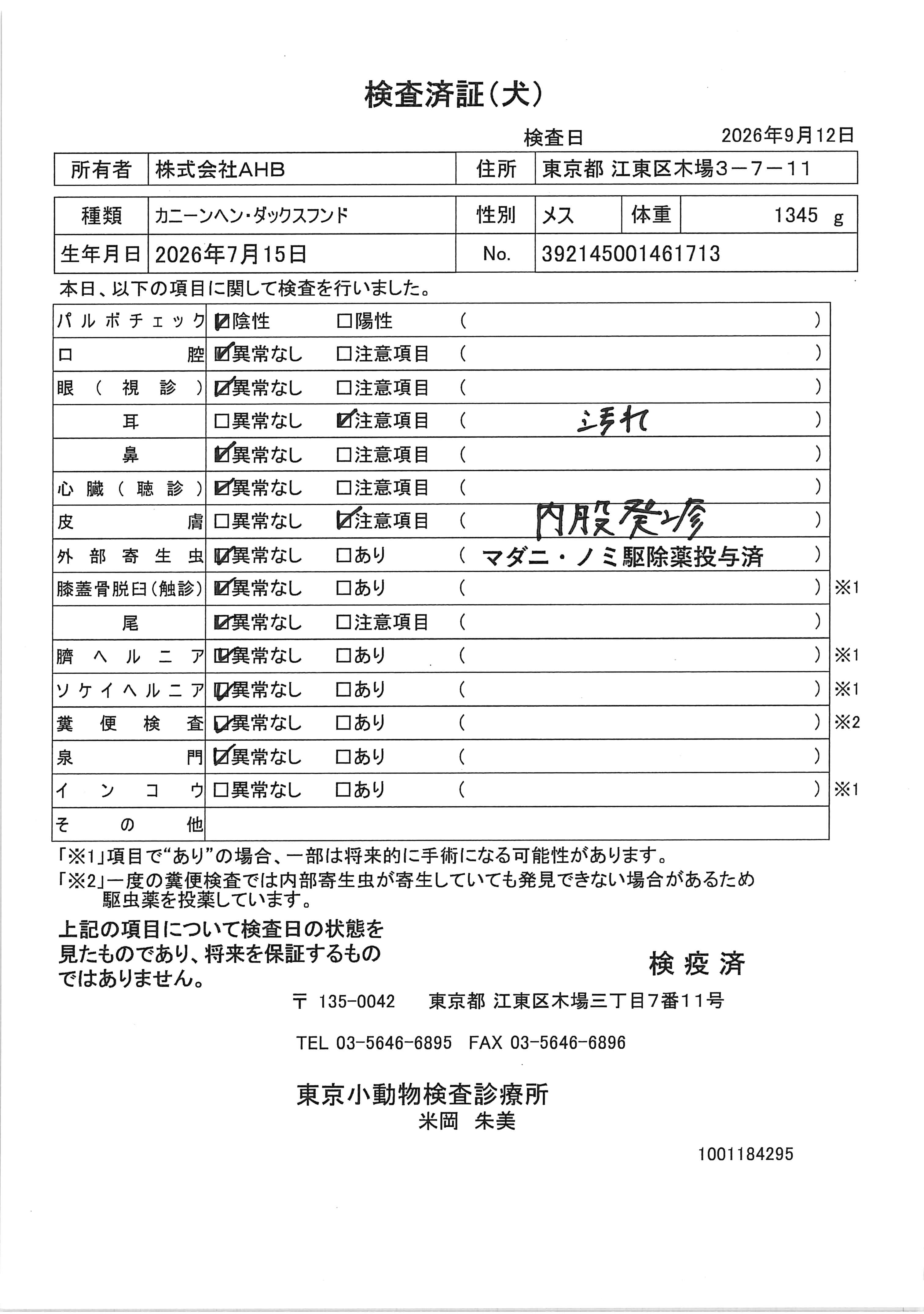 カニーンヘン・ダックスフンド