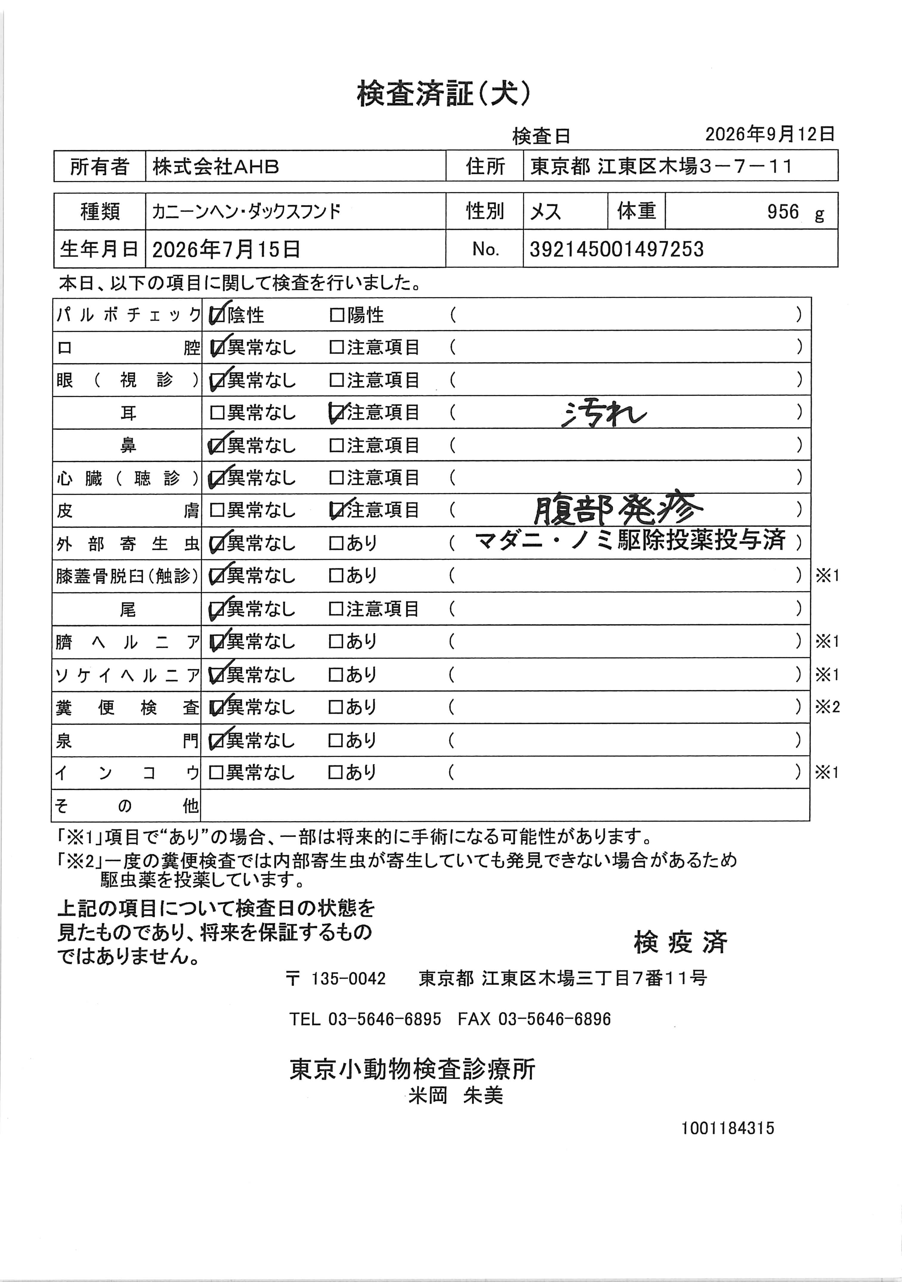 カニーンヘン・ダックスフンド