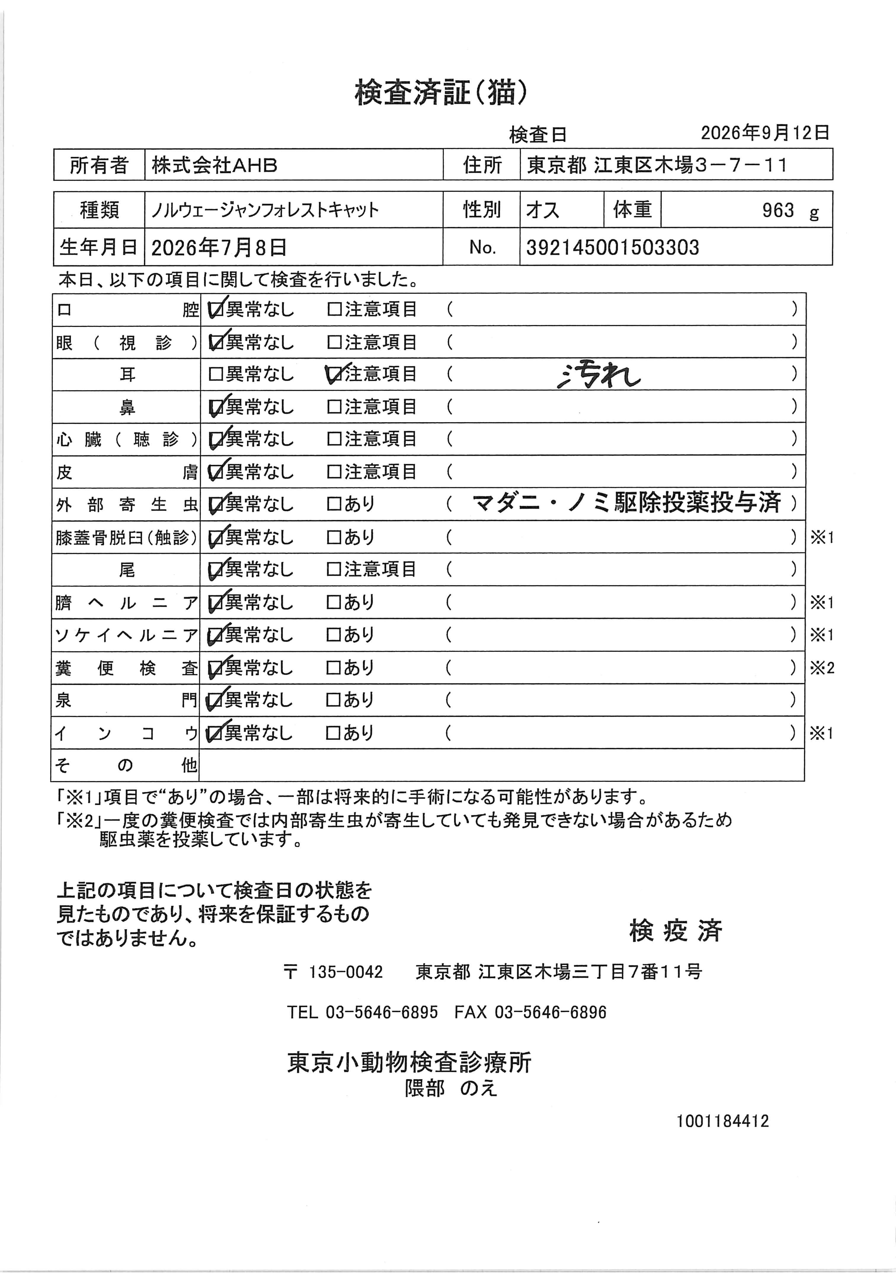ノルウェージャンフォレストキャット